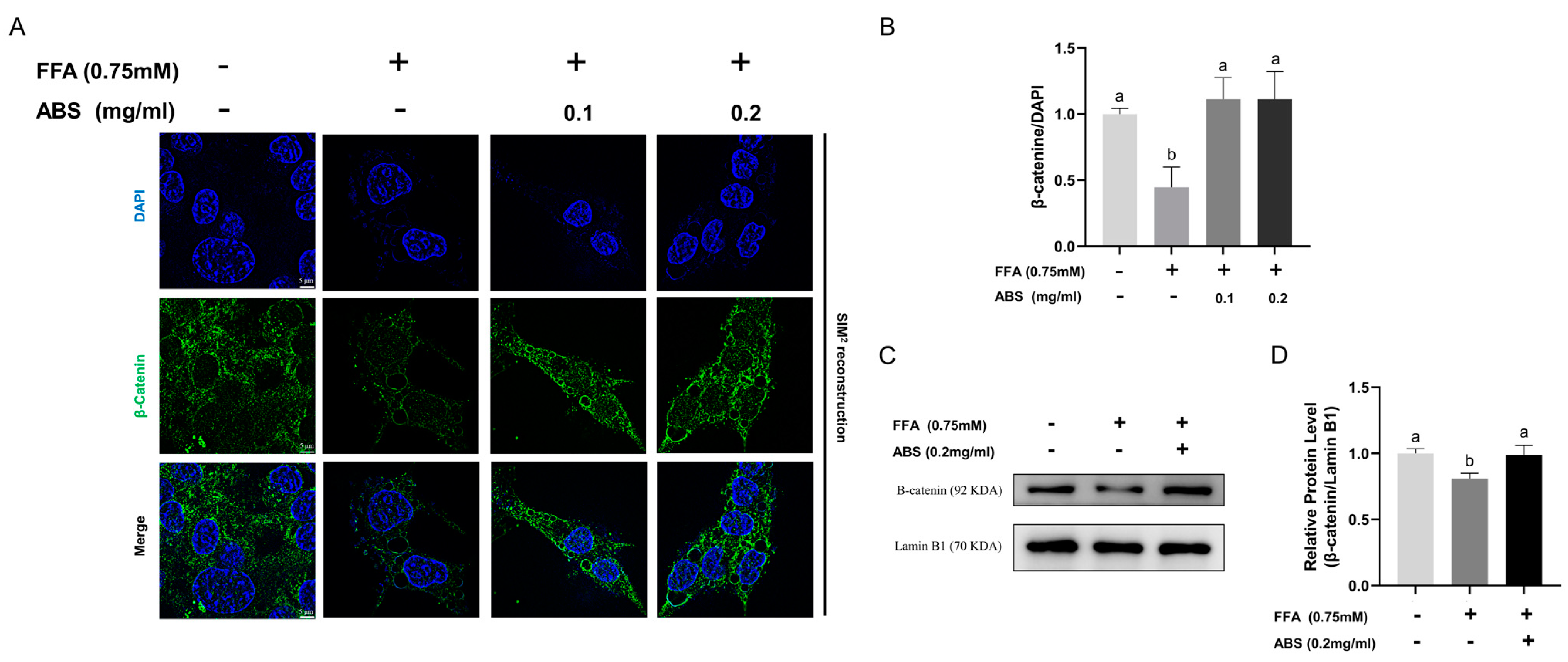 Antioxidants 13 01380 g011