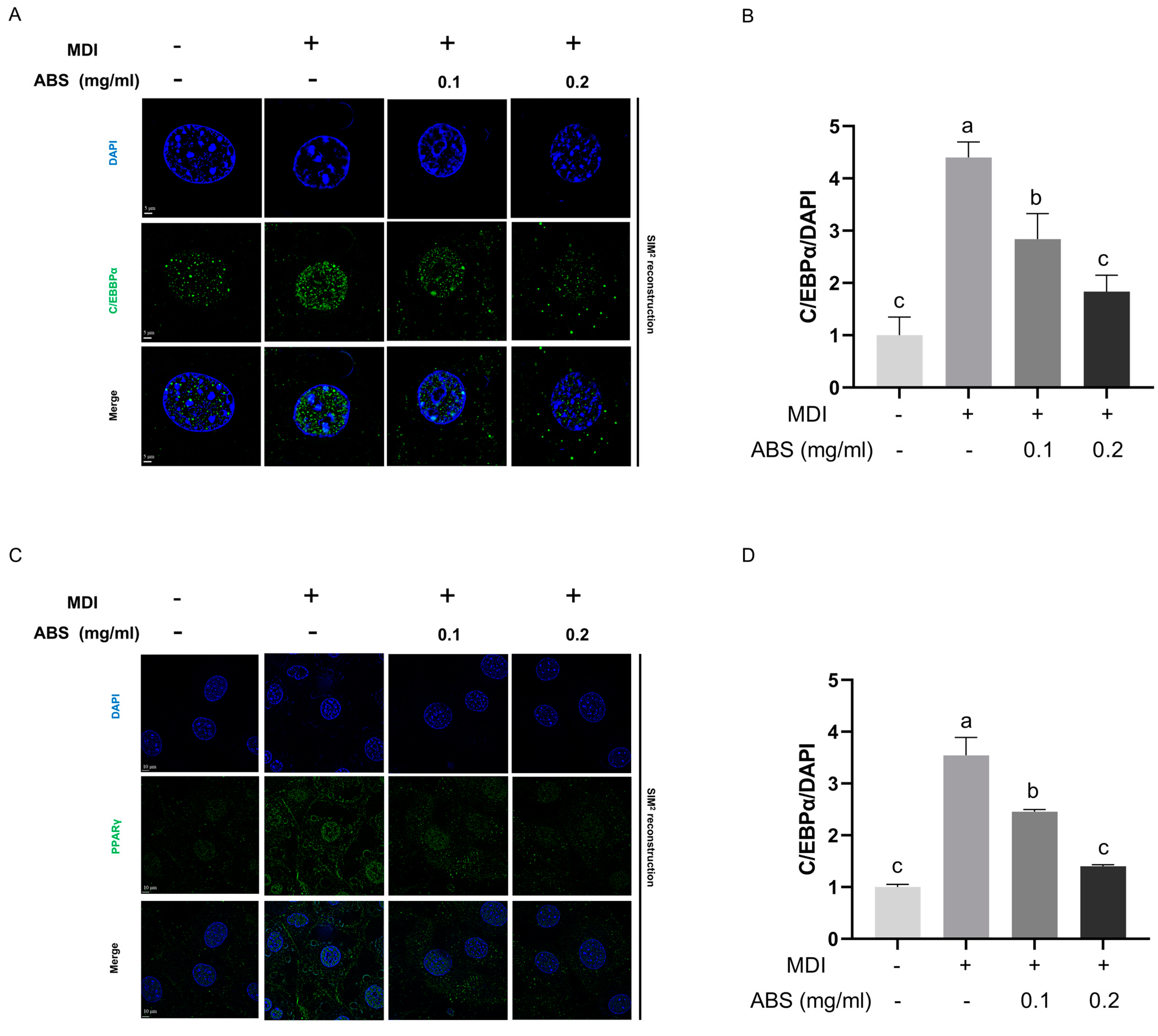 Antioxidants 13 01380 g015