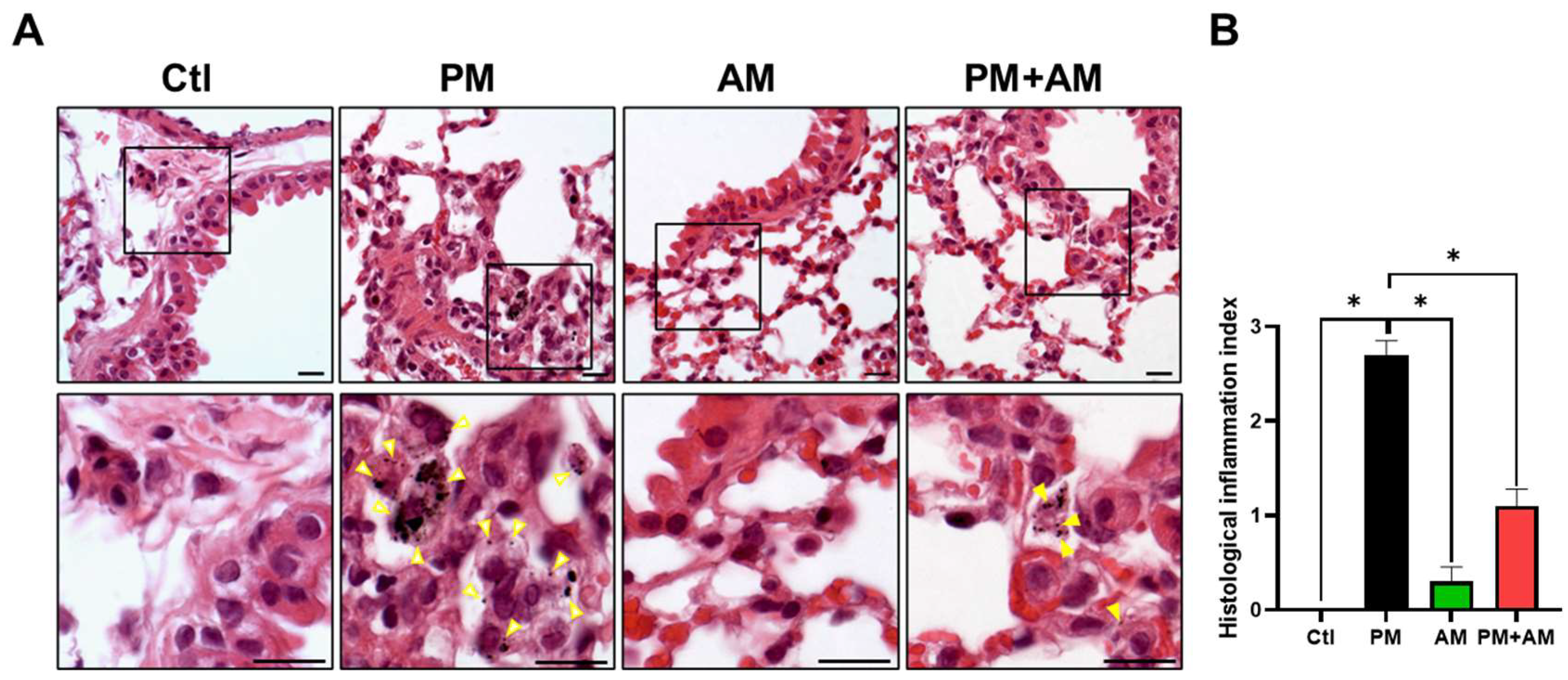 Antioxidants 13 01381 g006