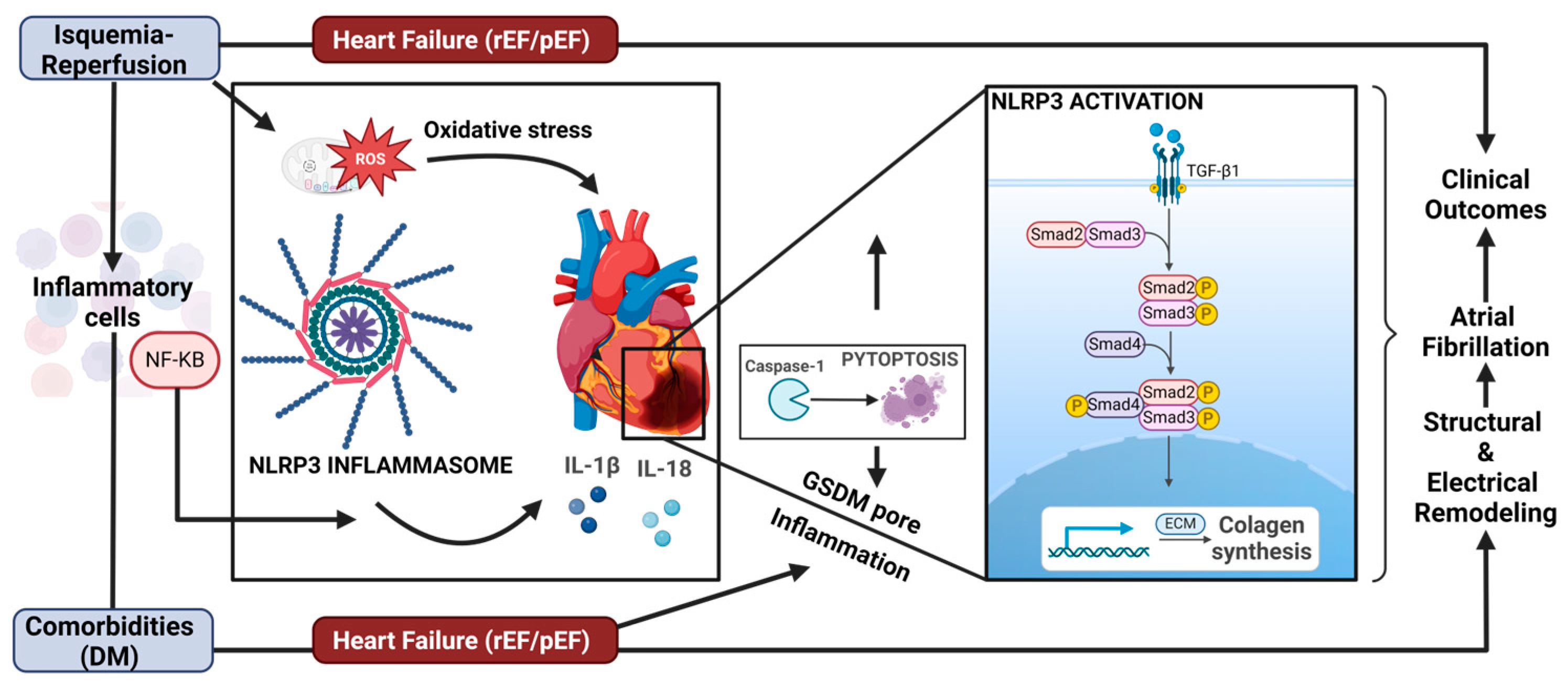 Antioxidants 13 01388 g002