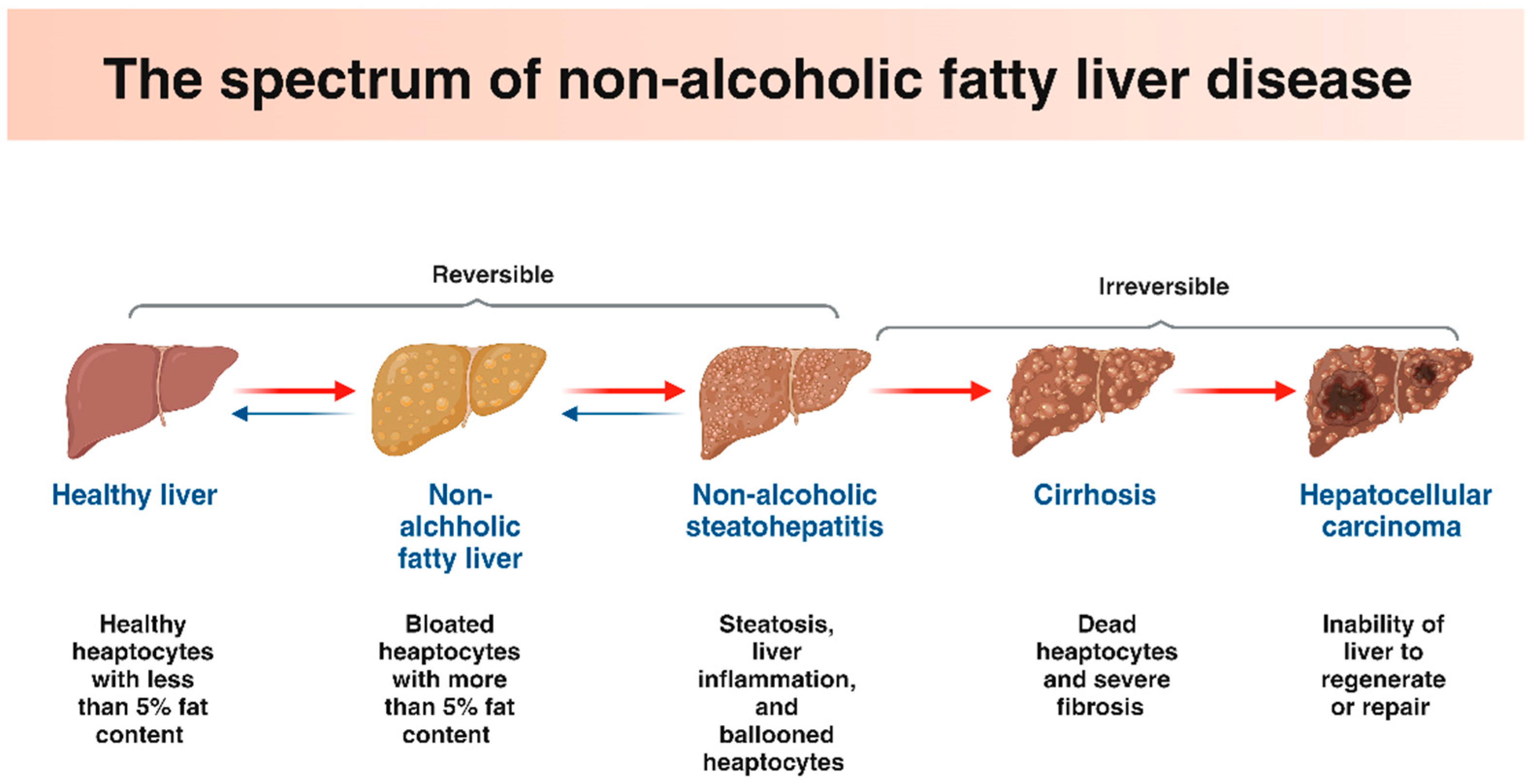 Antioxidants 13 01389 g001