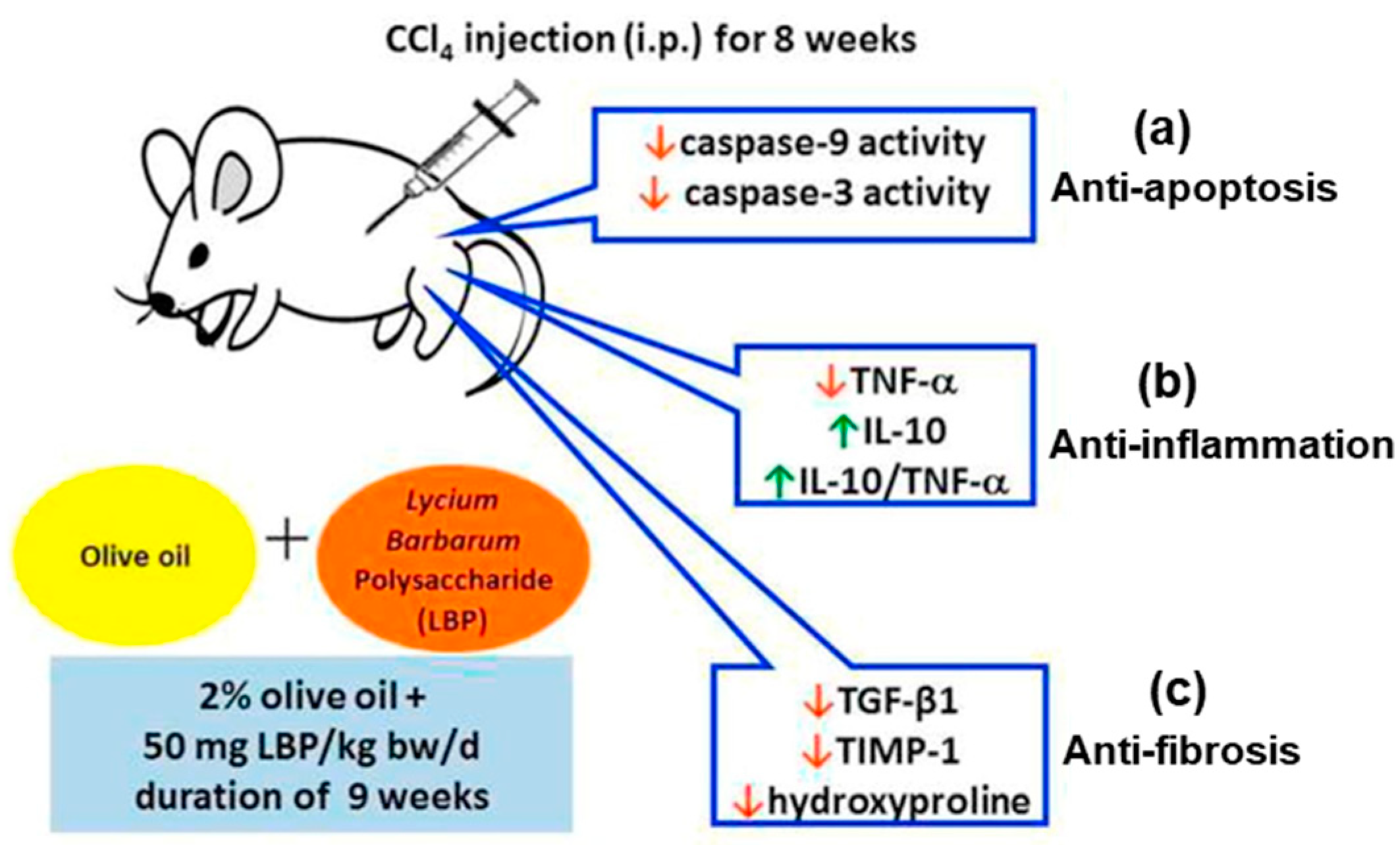 Antioxidants 13 01389 g003