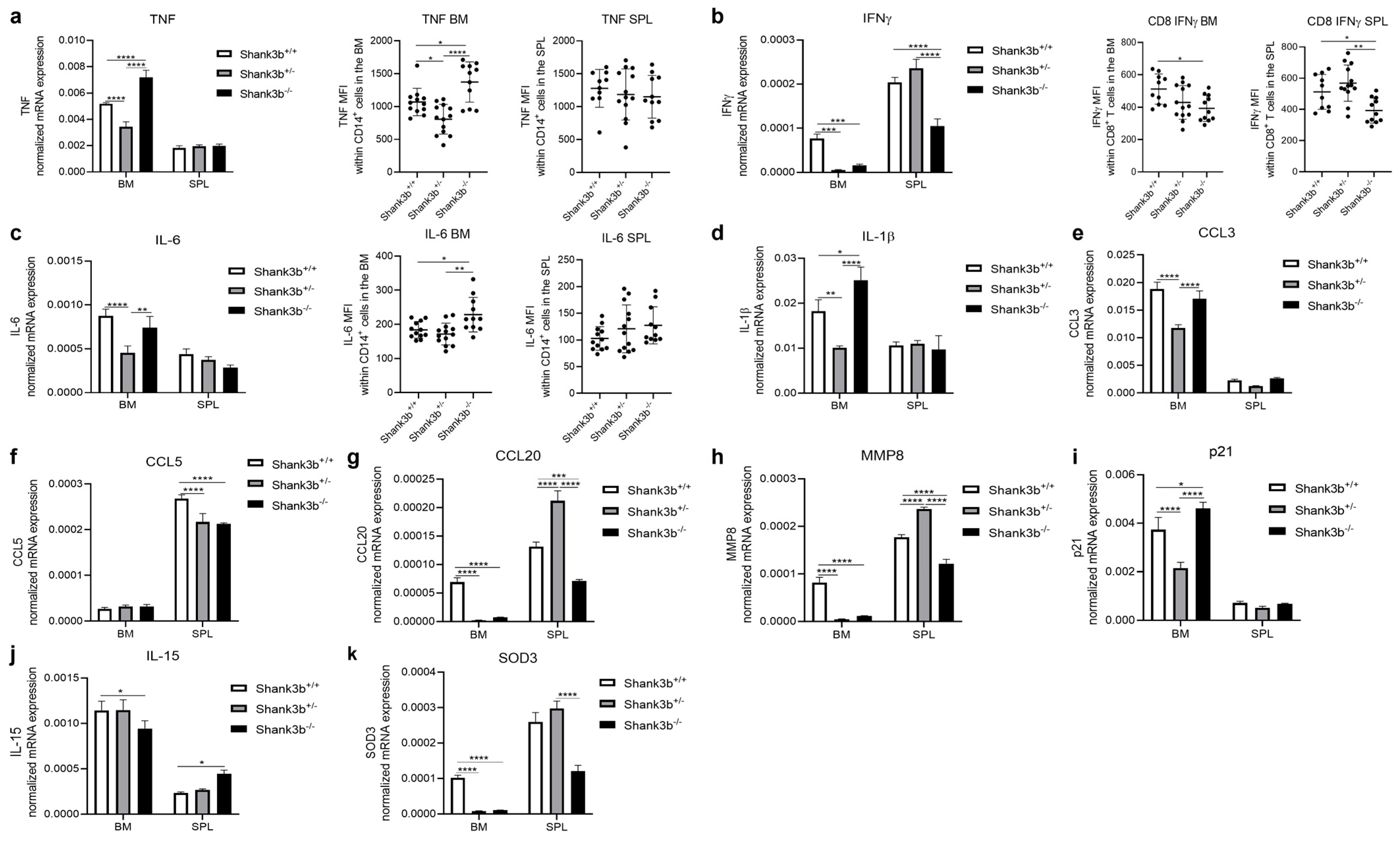 Antioxidants 13 01390 g002