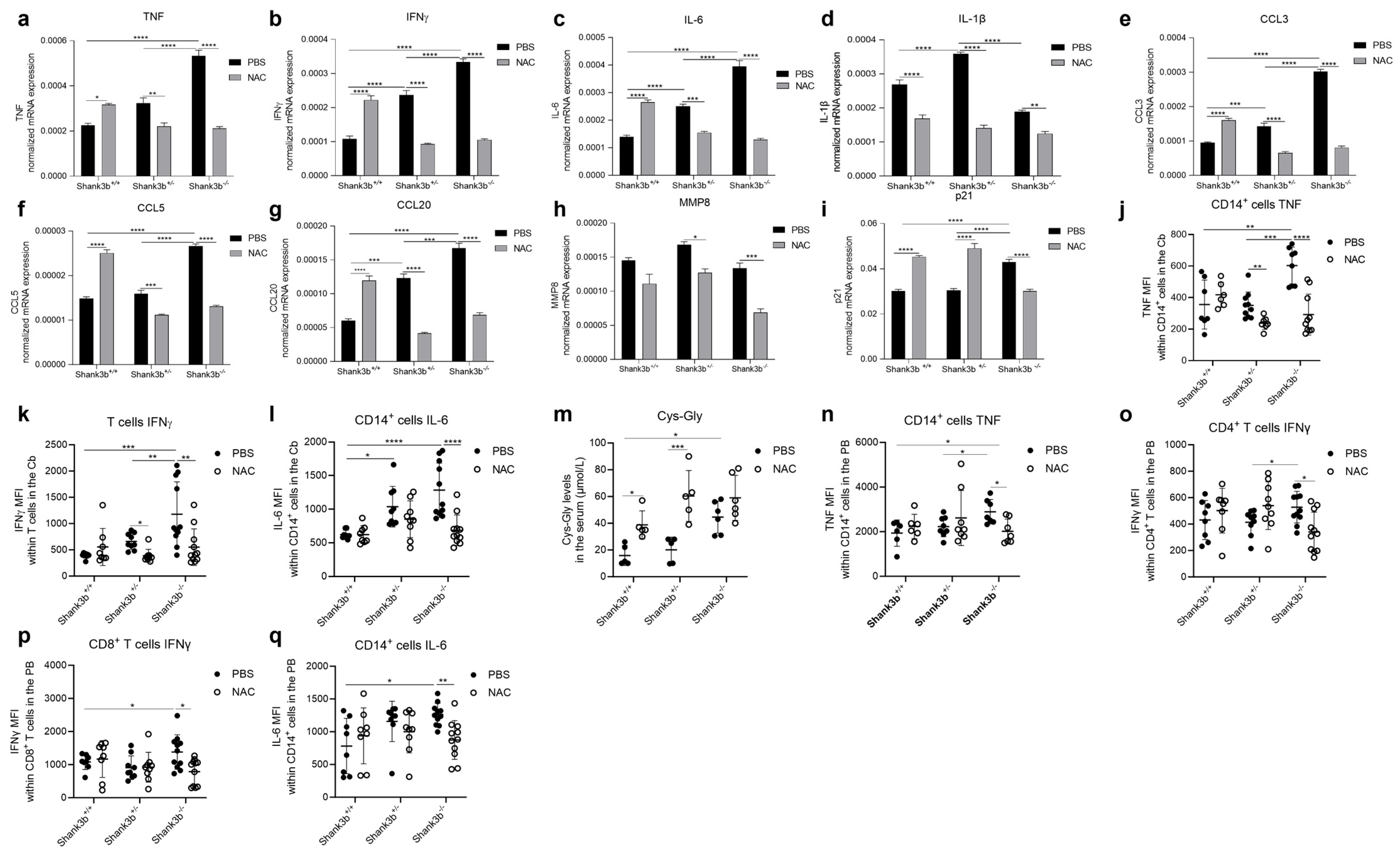 Antioxidants 13 01390 g004