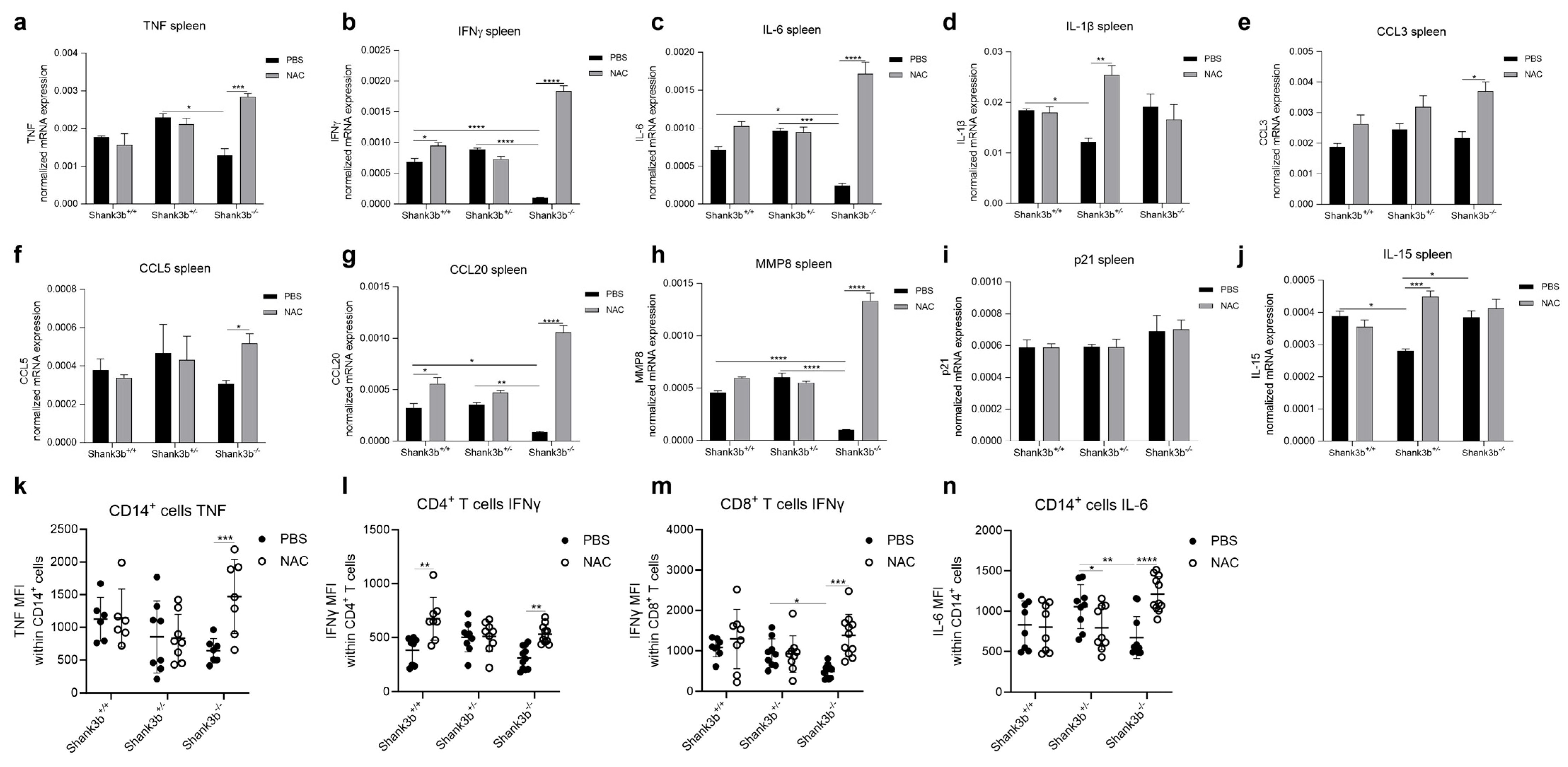 Antioxidants 13 01390 g006