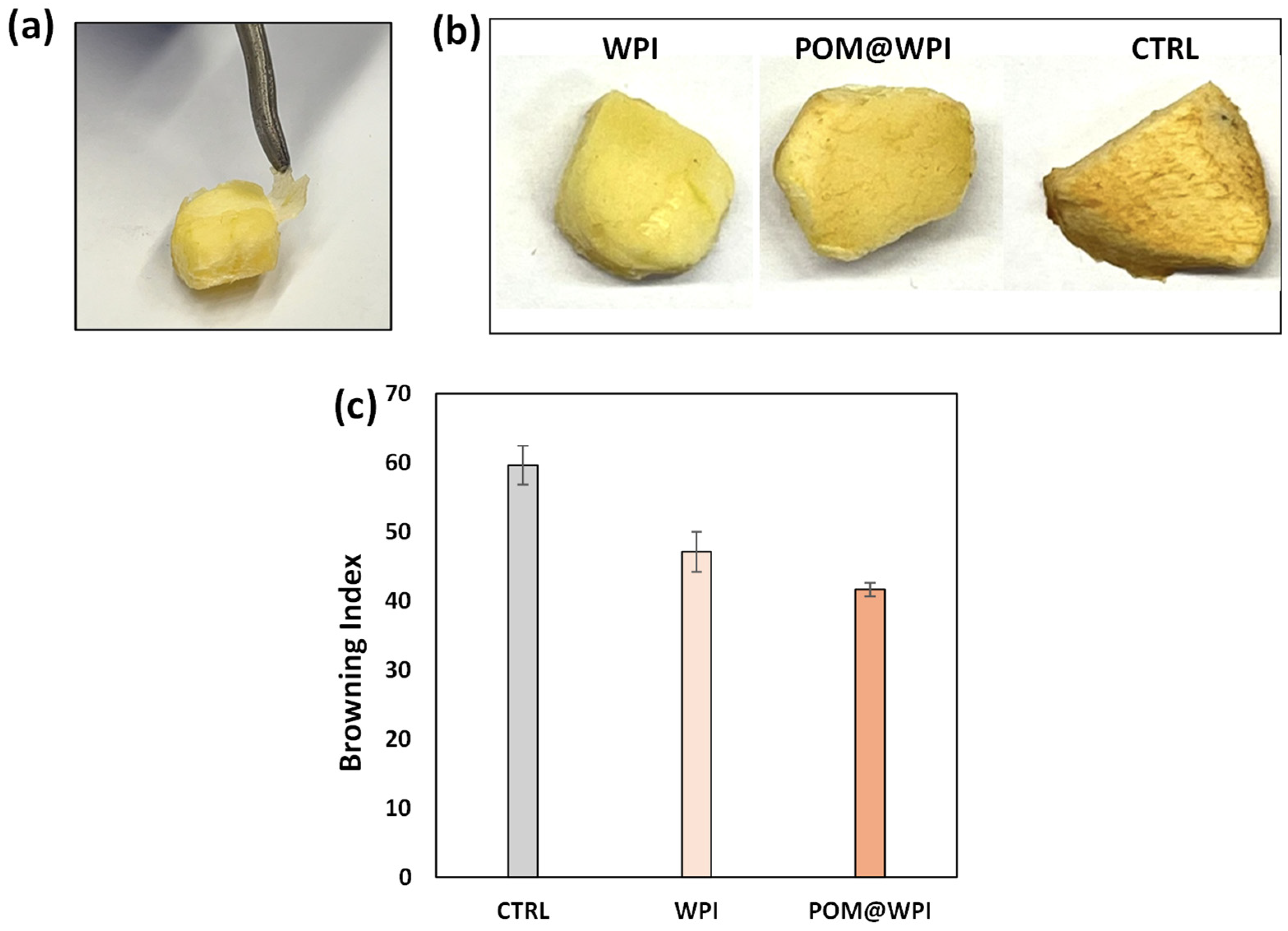 Antioxidants 13 01394 g006