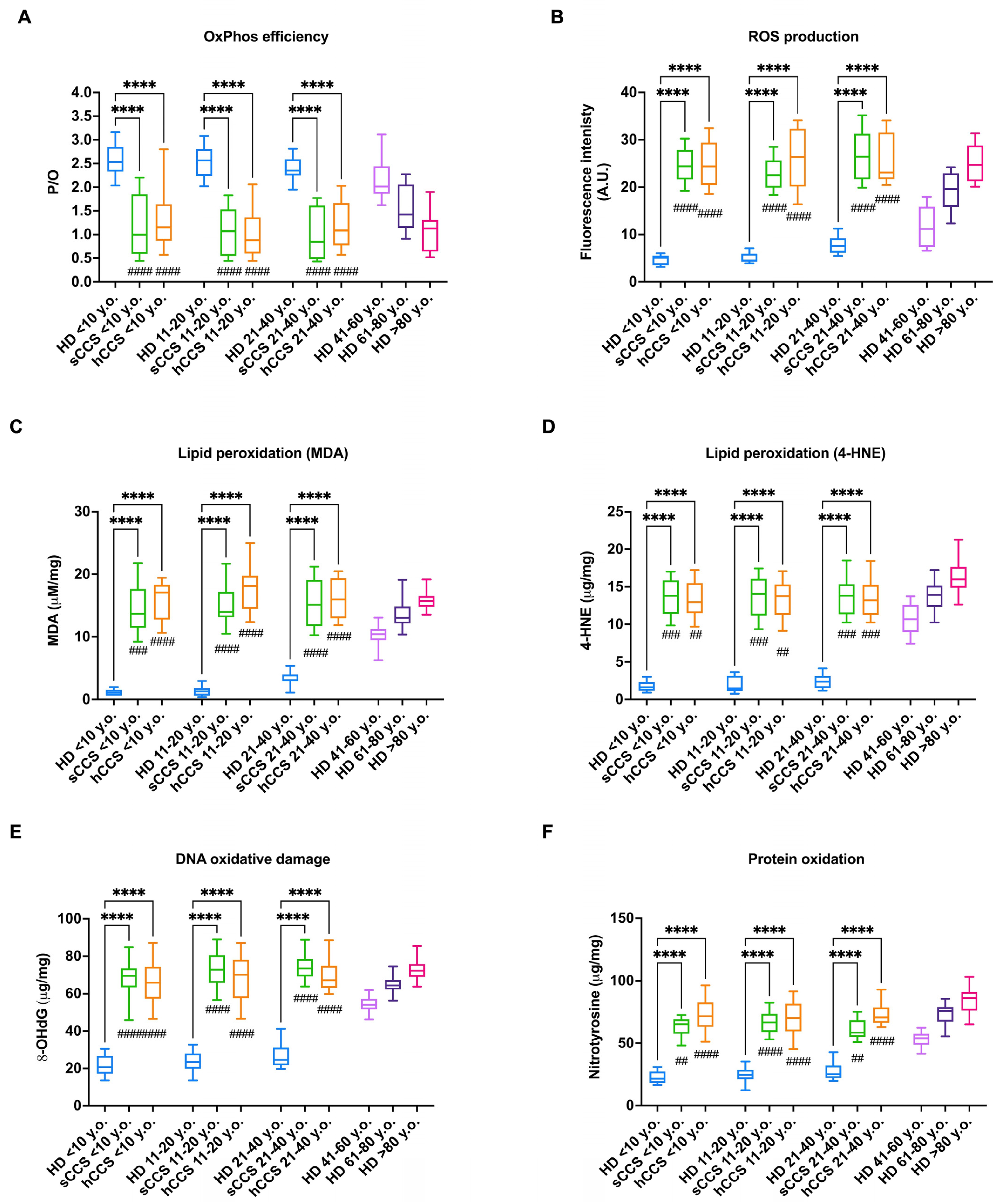 Antioxidants 13 01397 g001 Antioxidants 13 01397 g001