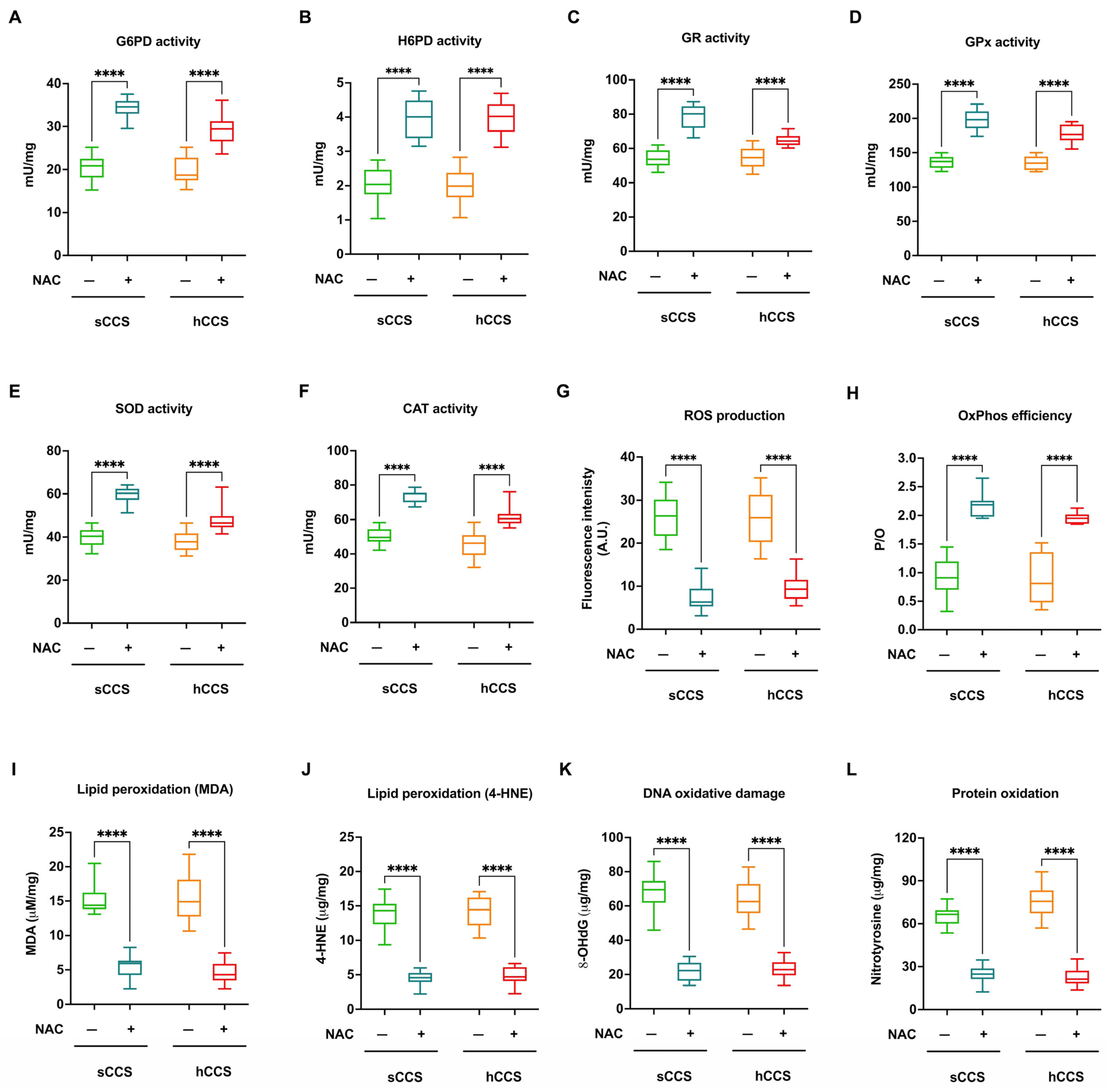 Antioxidants 13 01397 g007 Antioxidants 13 01397 g007