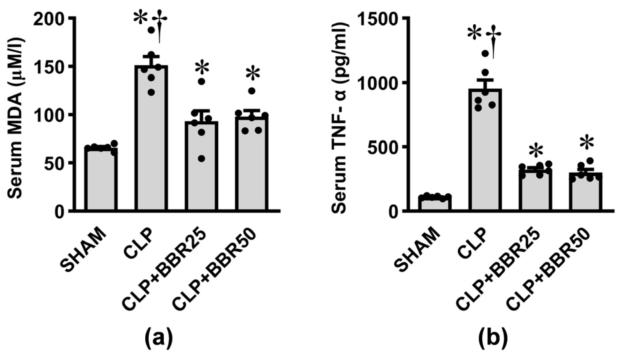 Antioxidants 13 01398 g001