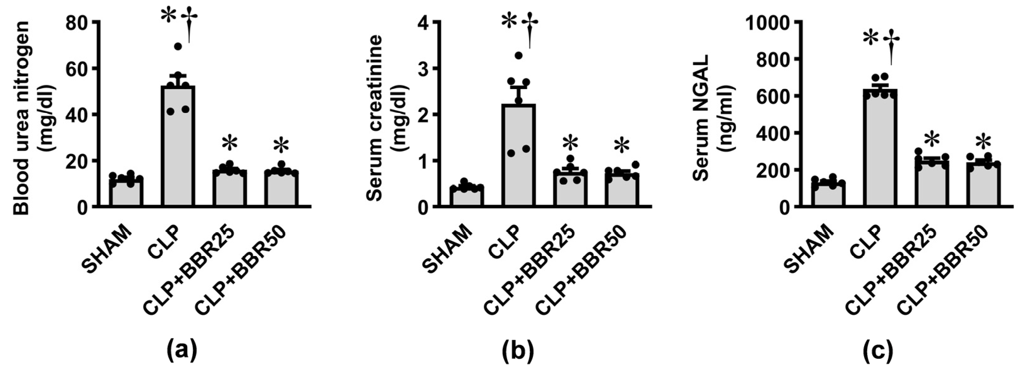 Antioxidants 13 01398 g002