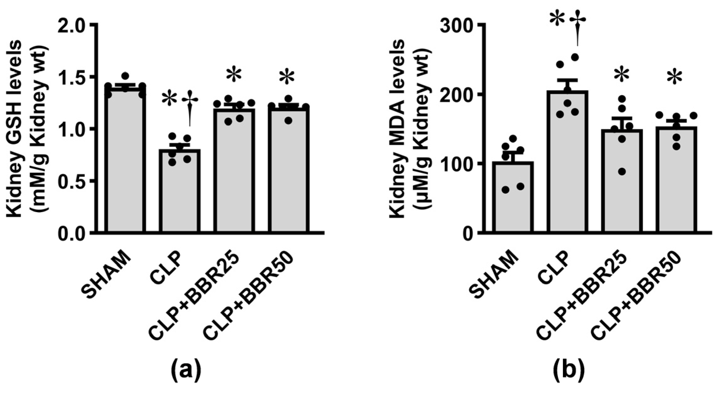 Antioxidants 13 01398 g004