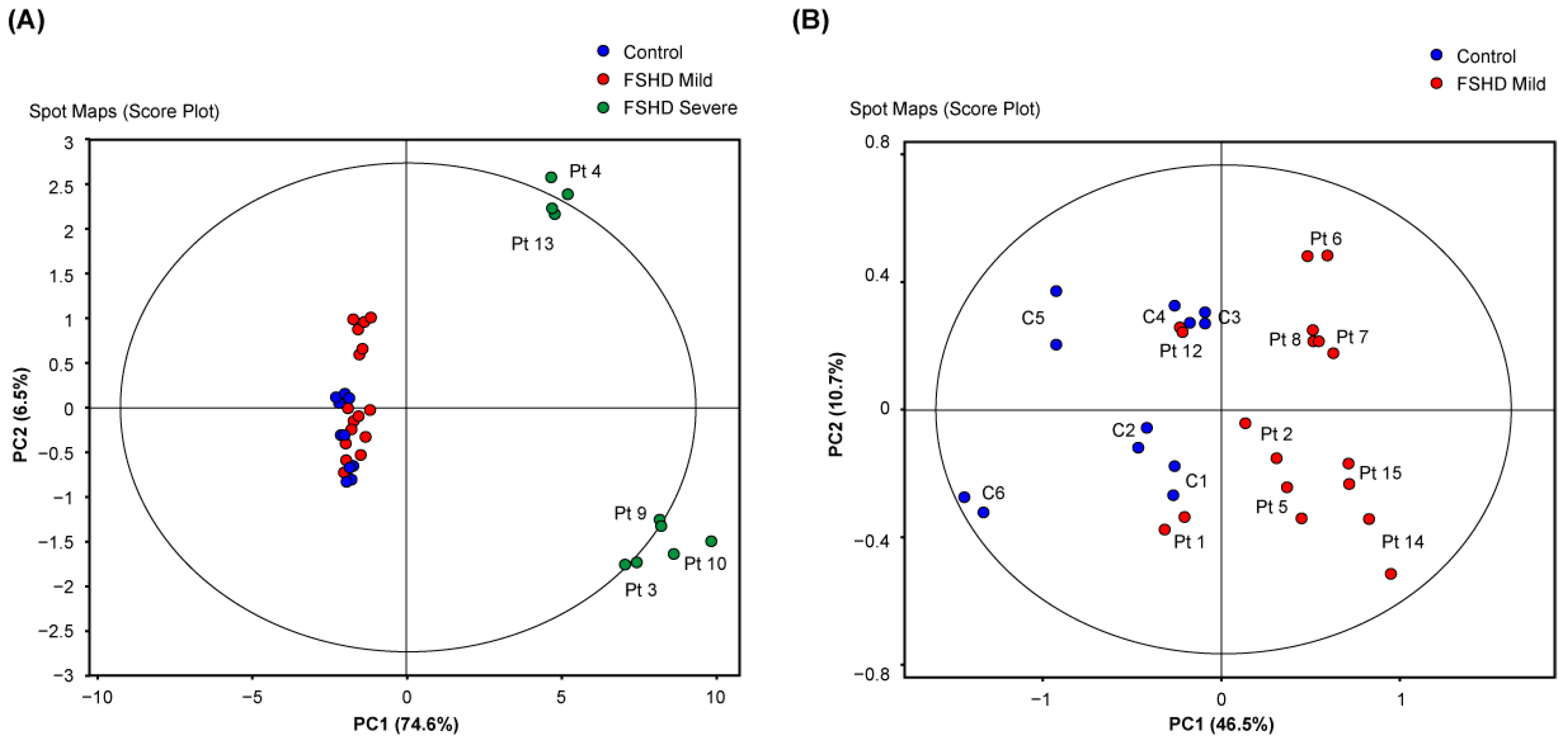 Antioxidants 13 01406 g001