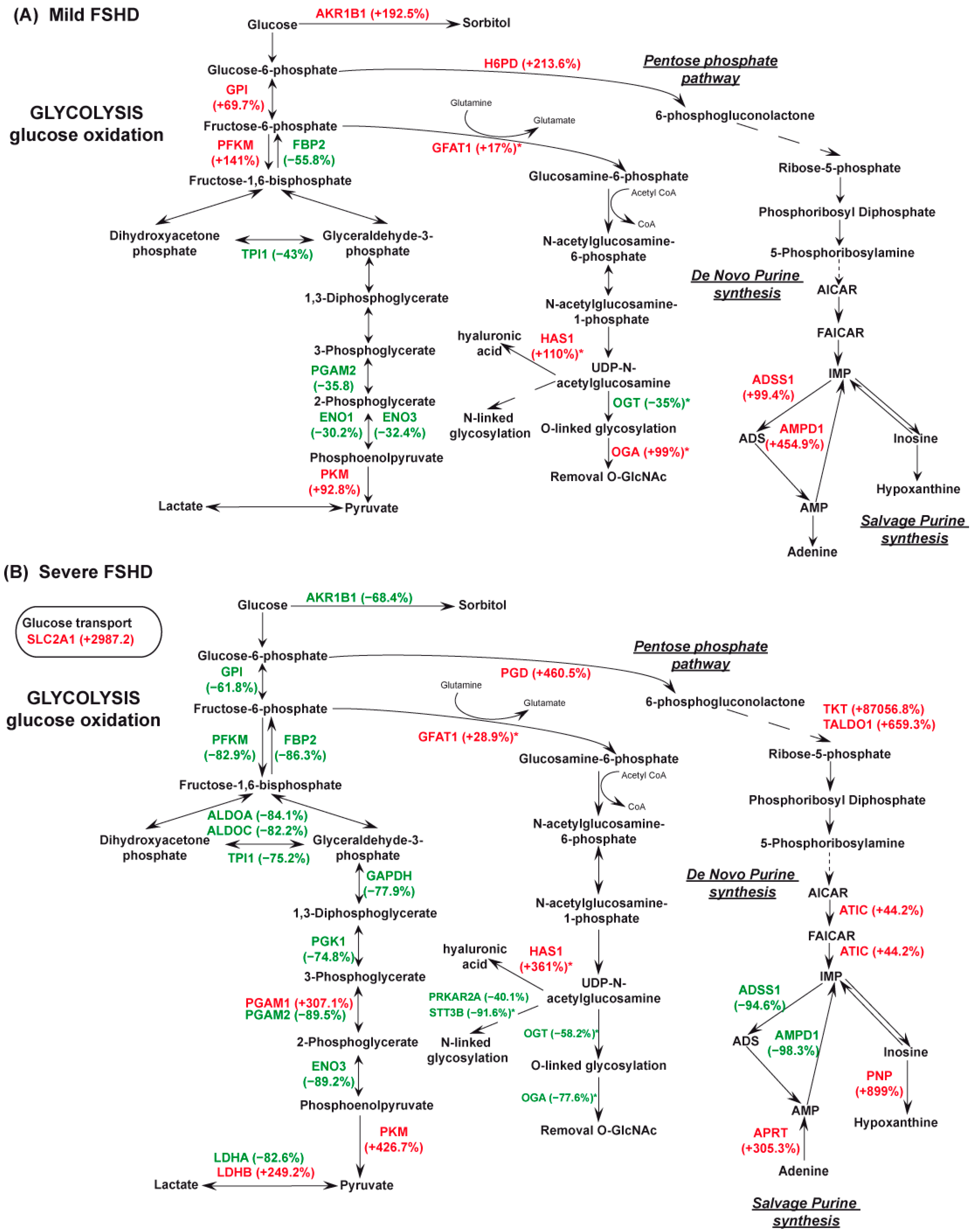 Antioxidants 13 01406 g003