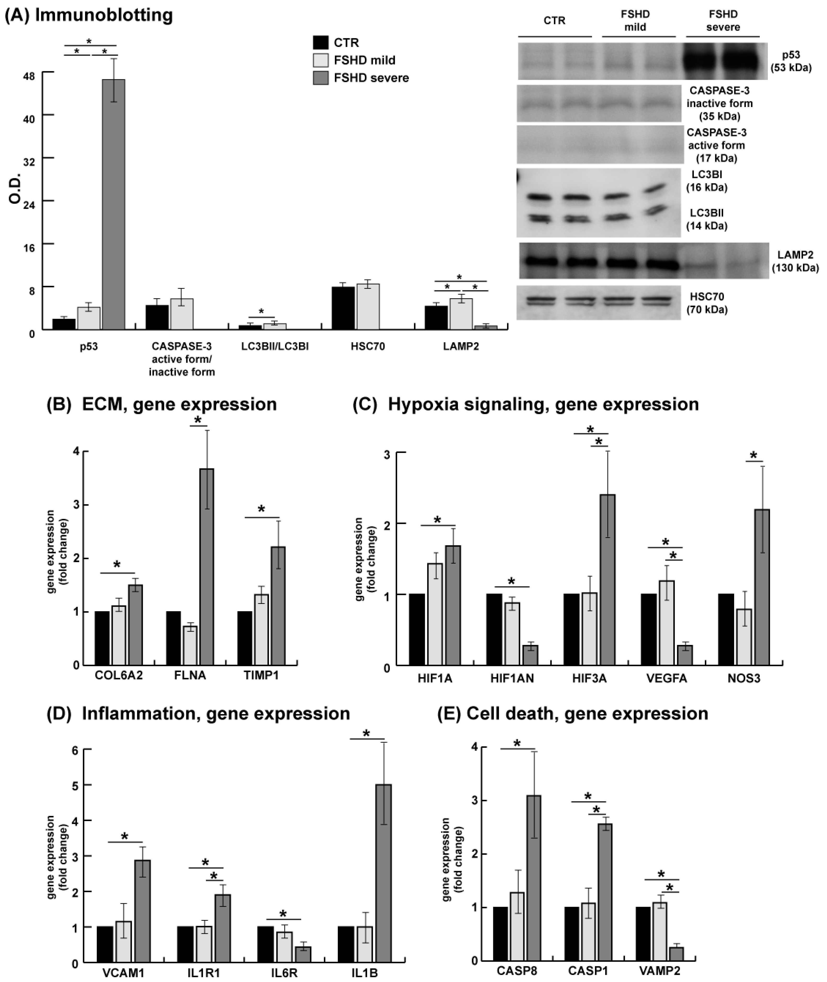 Antioxidants 13 01406 g009