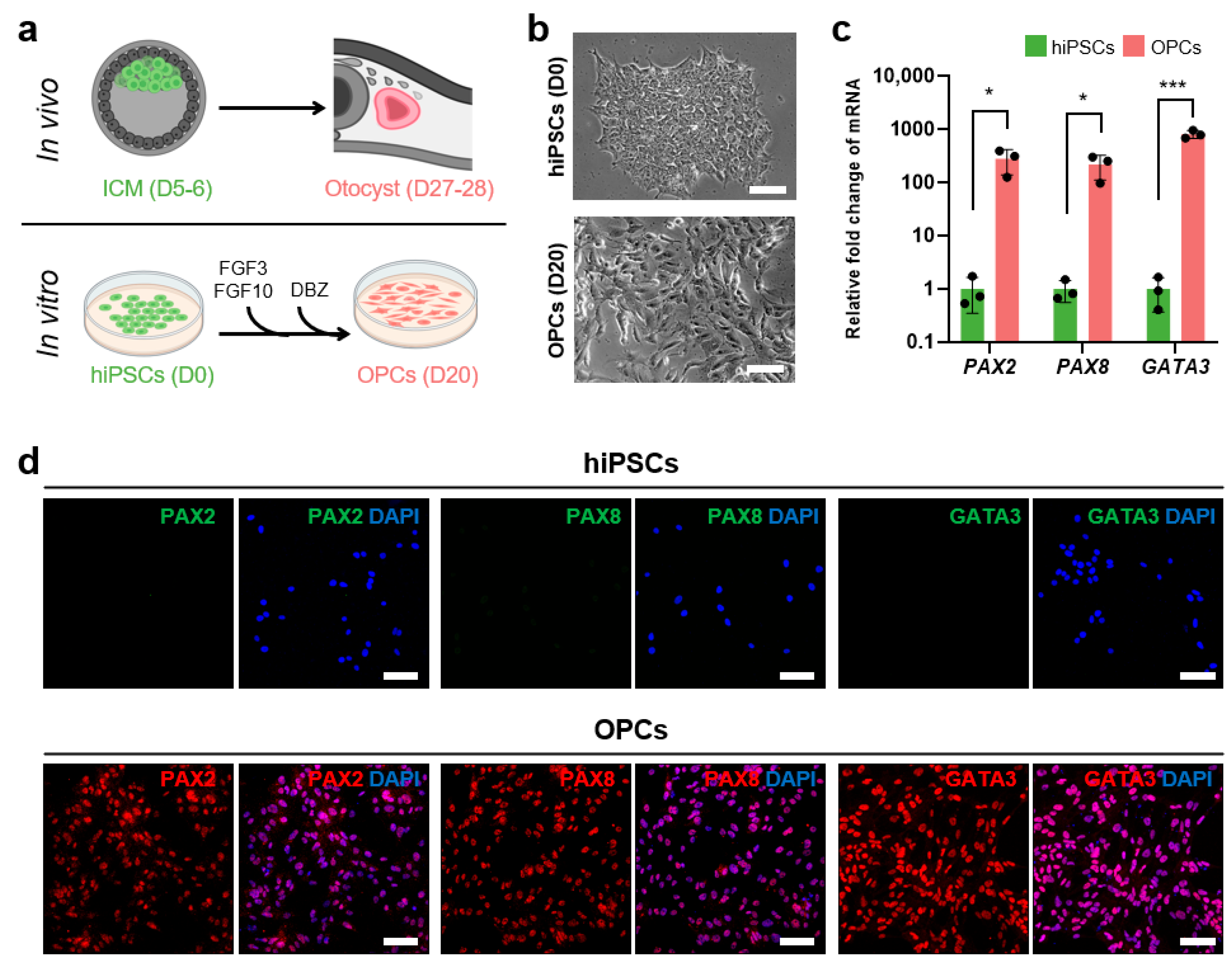 Antioxidants 13 01407 g001