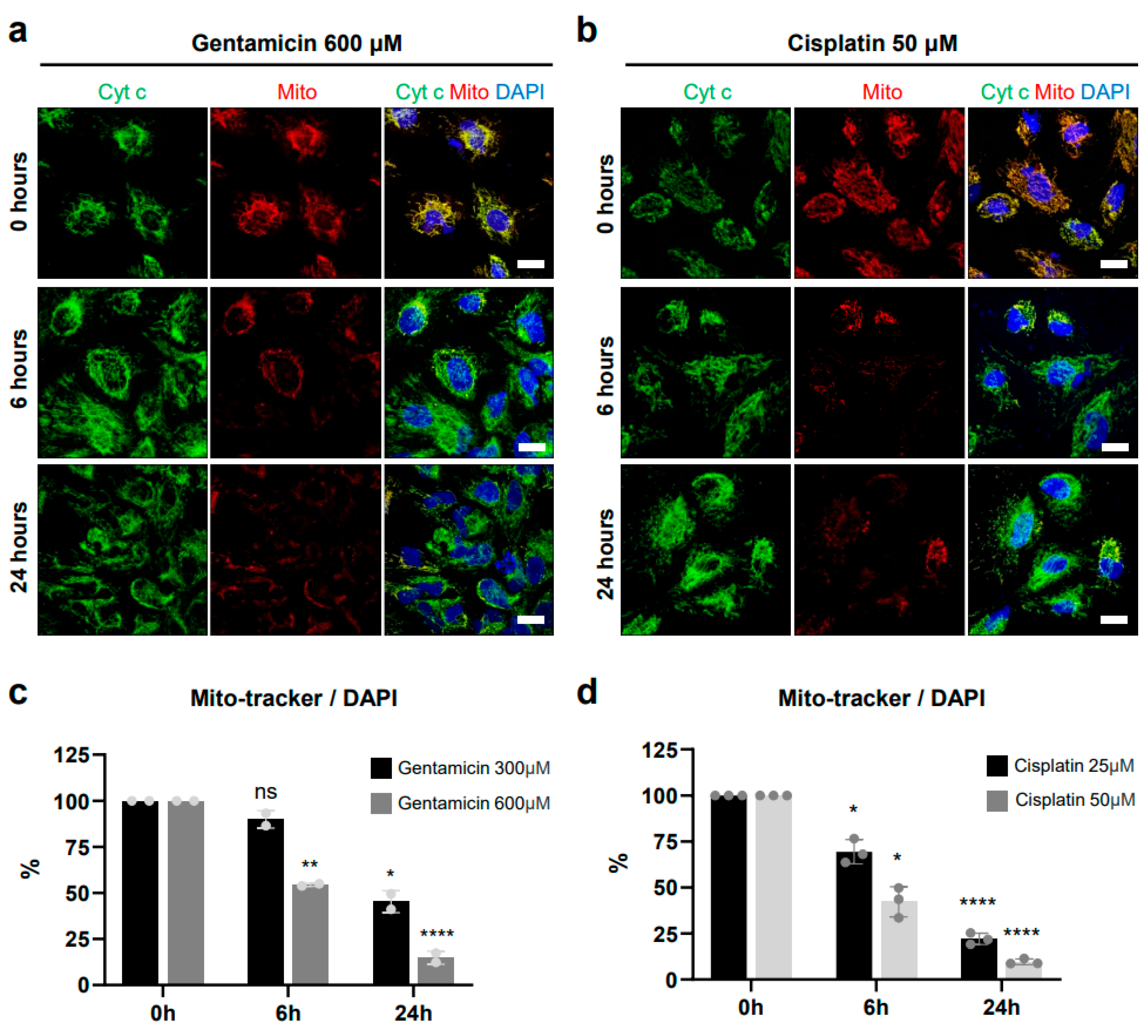 Antioxidants 13 01407 g006