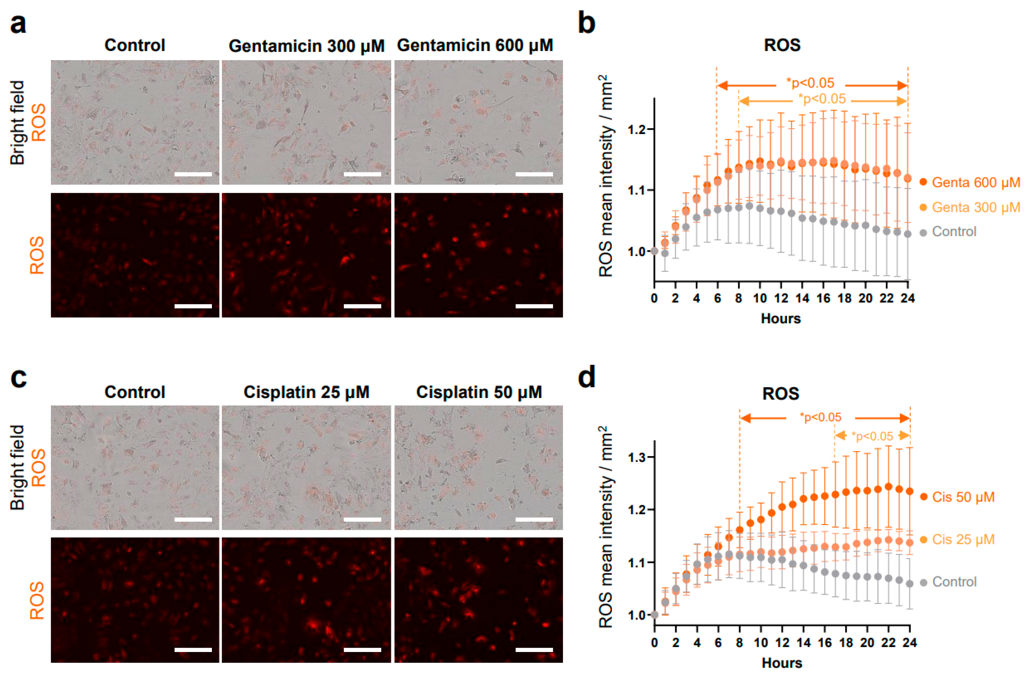 Antioxidants 13 01407 g007