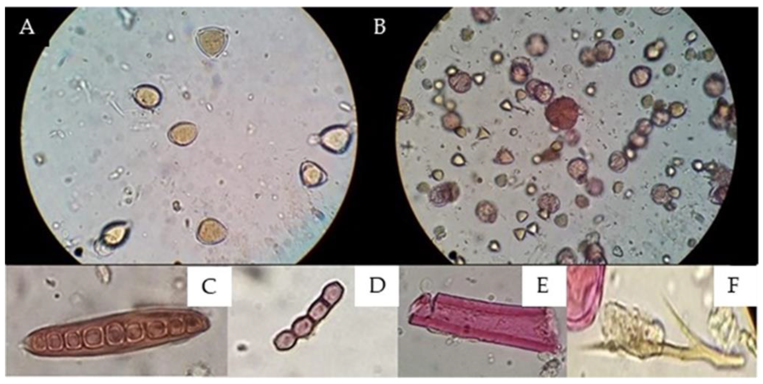 Antioxidants 13 01412 g003