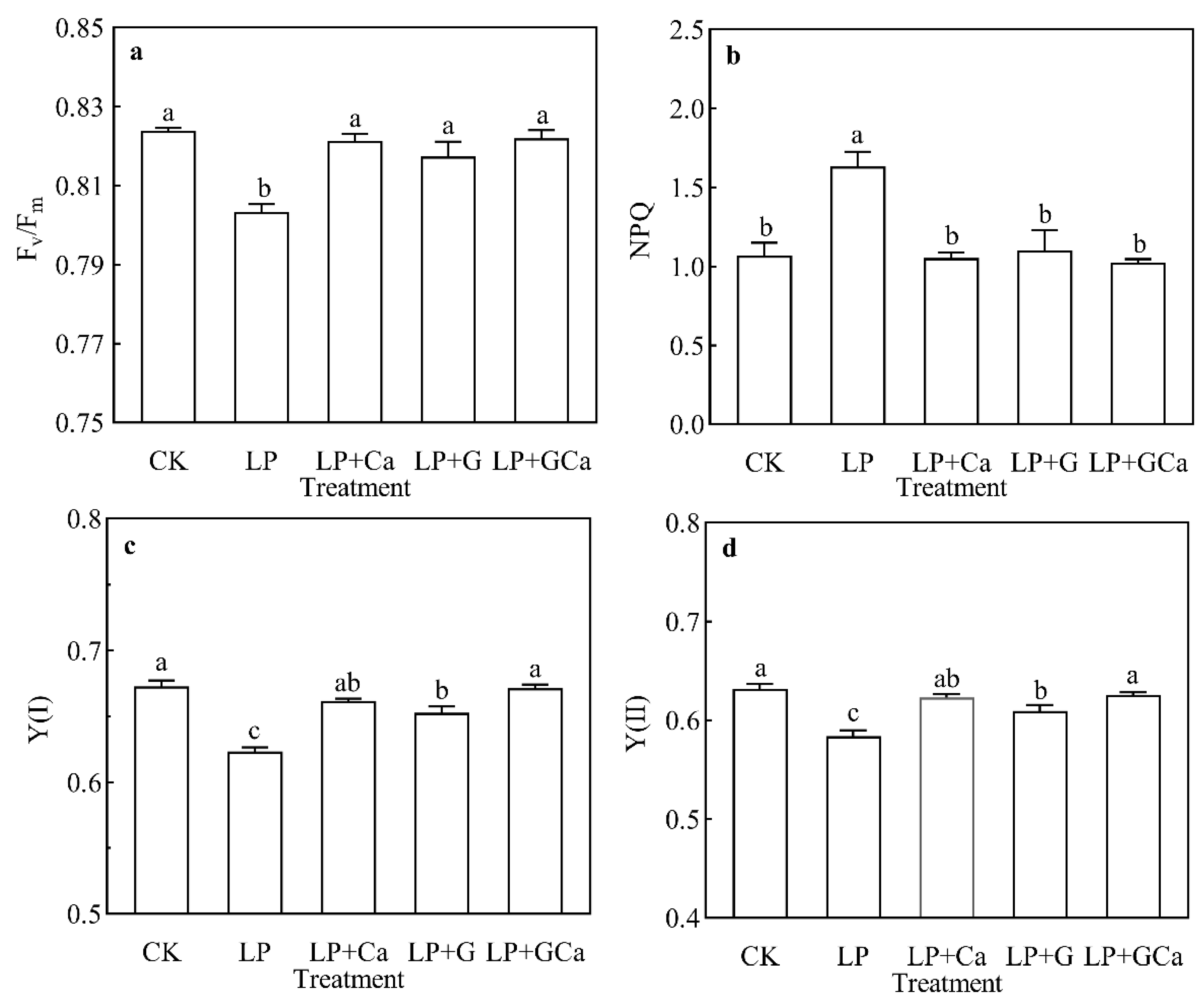 Antioxidants 13 01414 g005