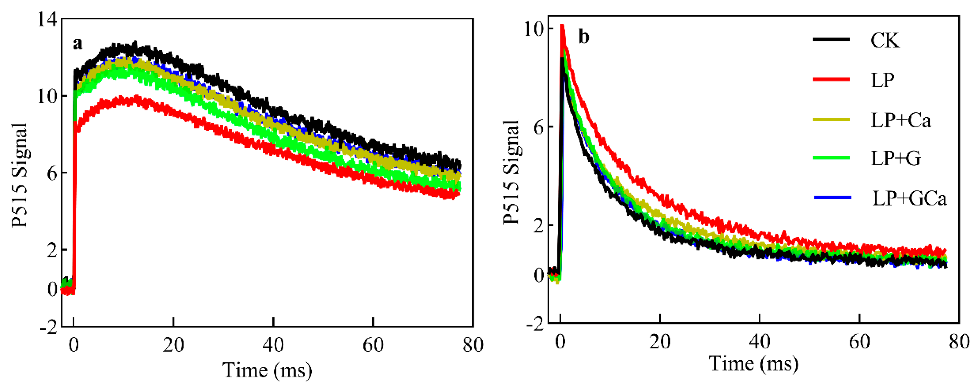 Antioxidants 13 01414 g008