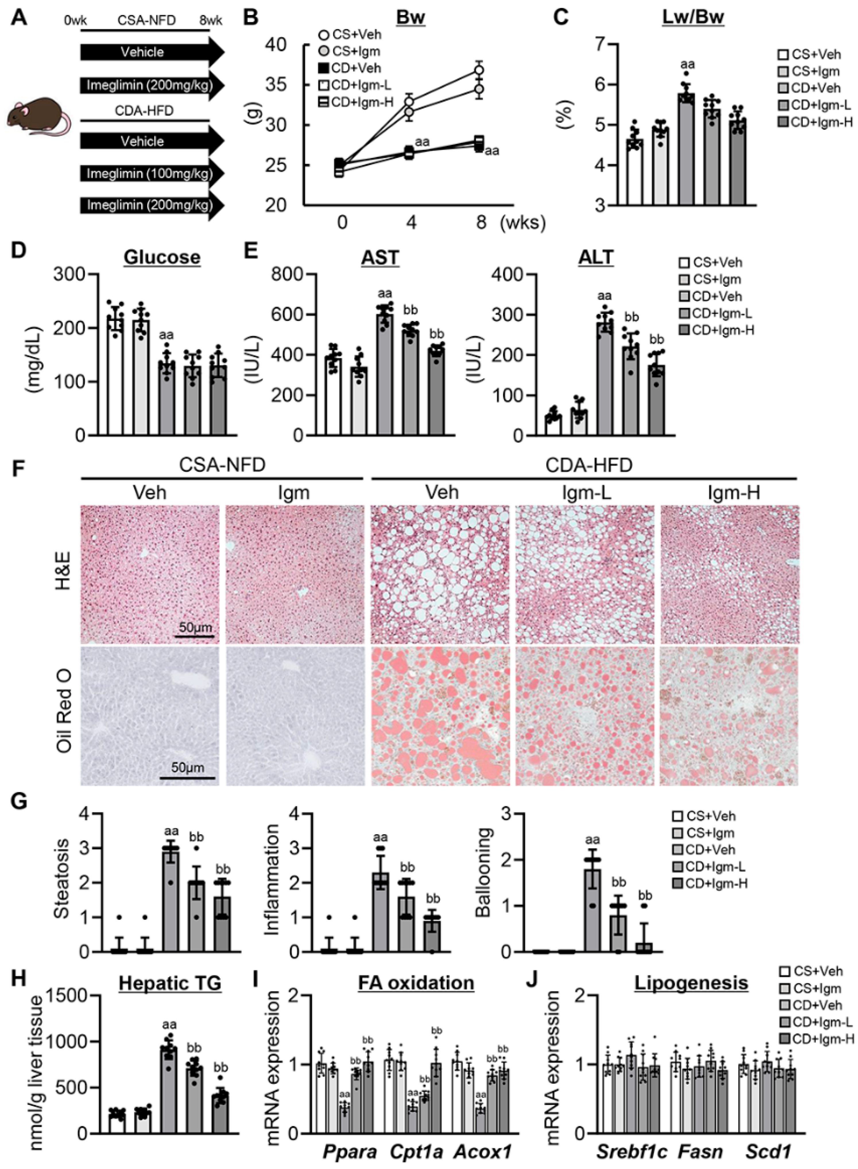Antioxidants 13 01415 g001