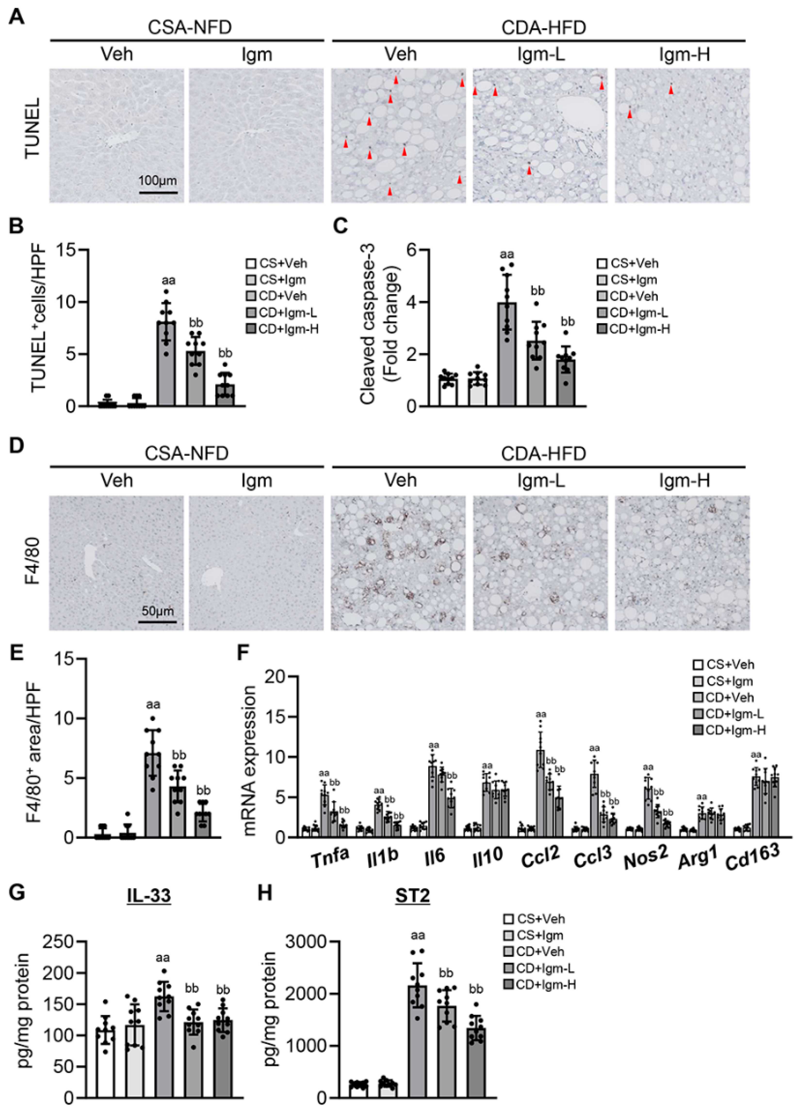 Antioxidants 13 01415 g003