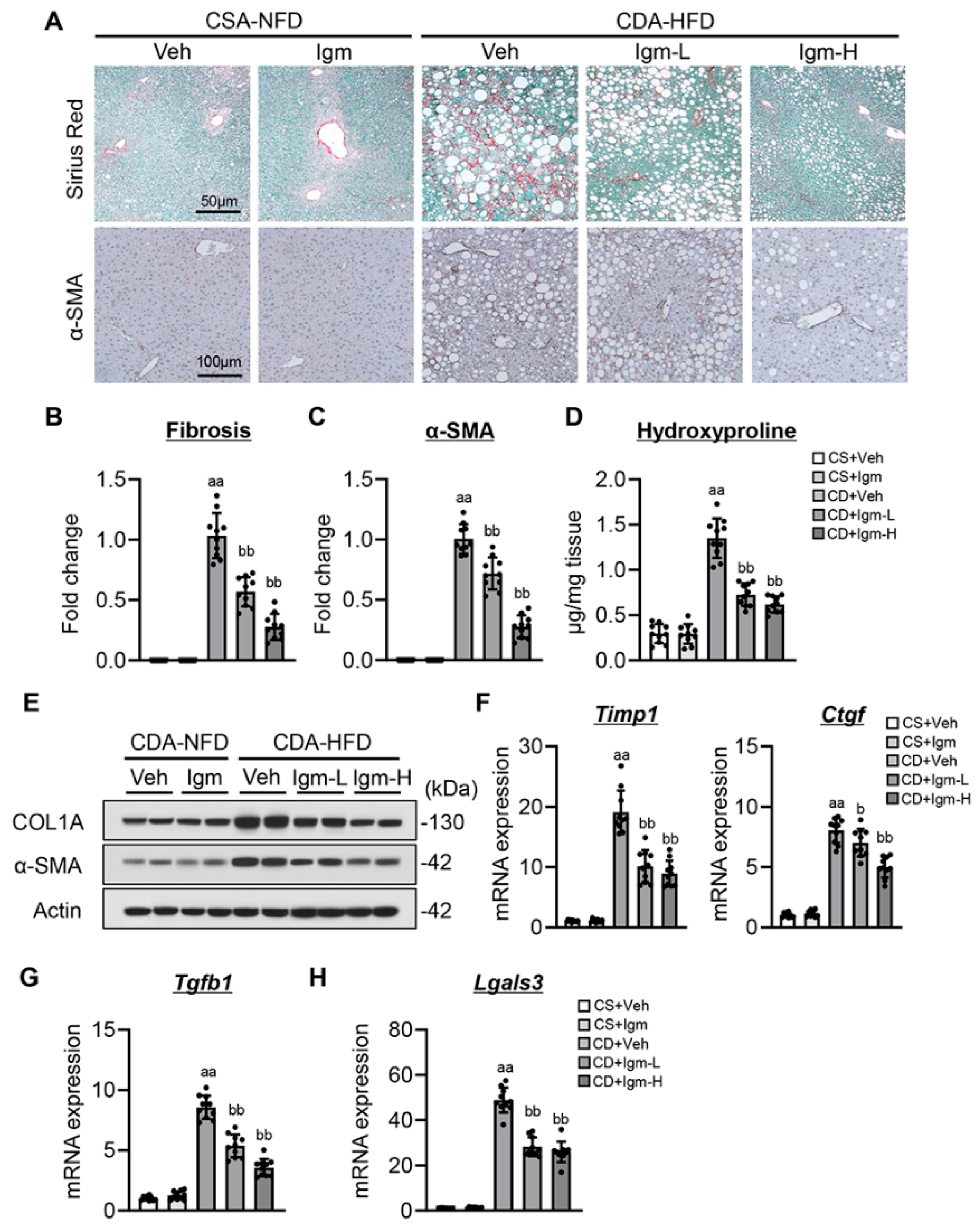Antioxidants 13 01415 g004