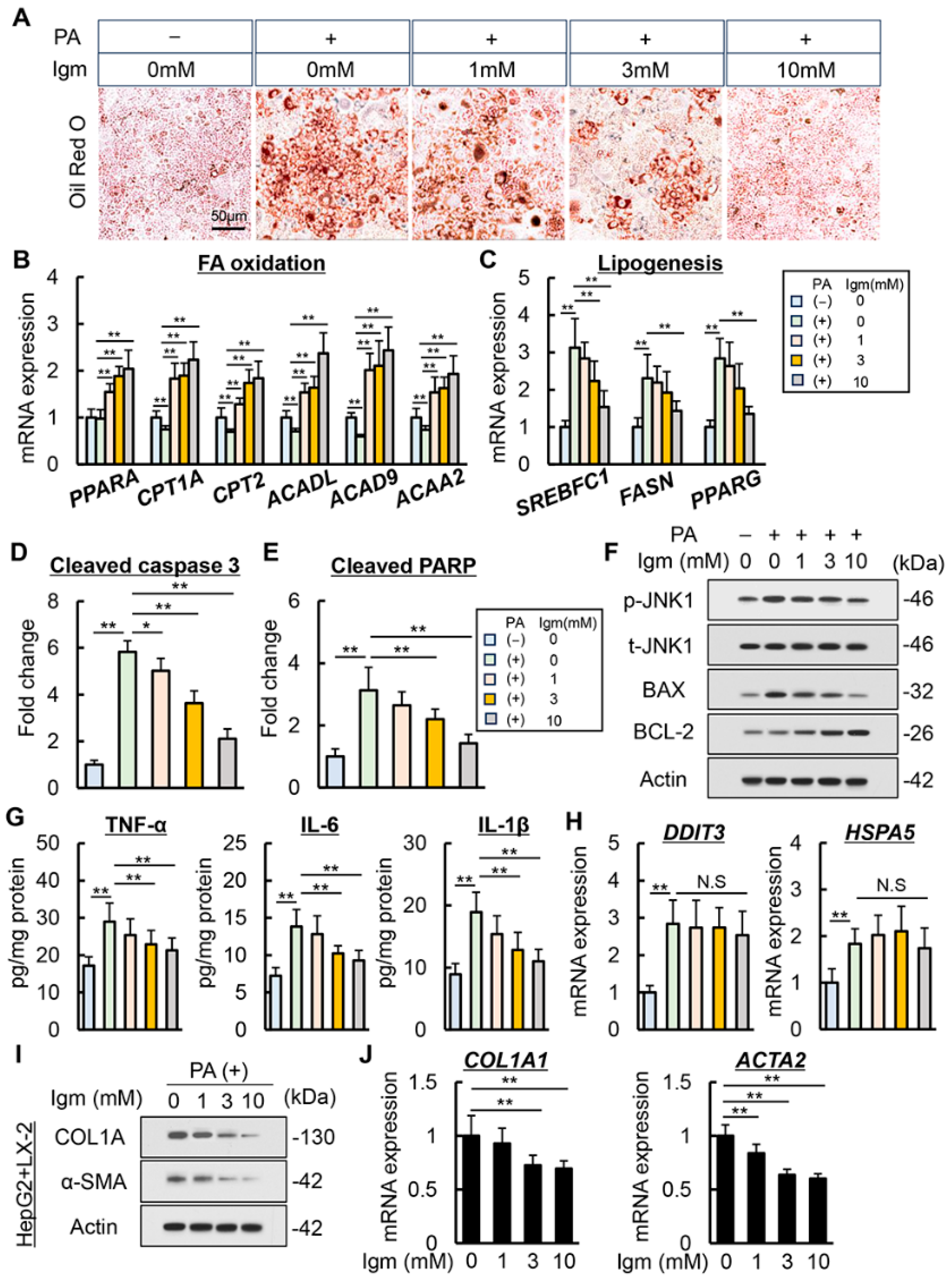 Antioxidants 13 01415 g005