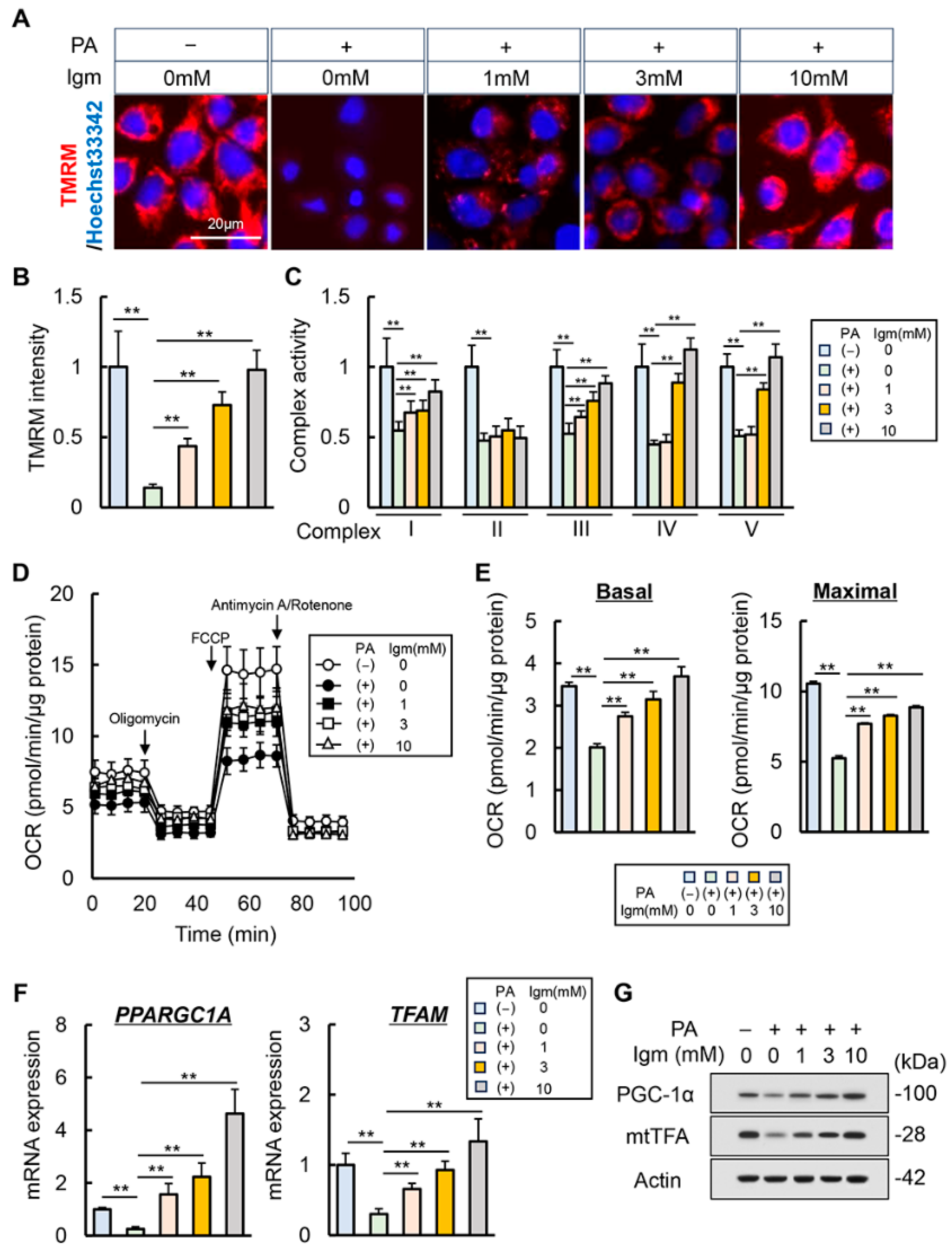 Antioxidants 13 01415 g006