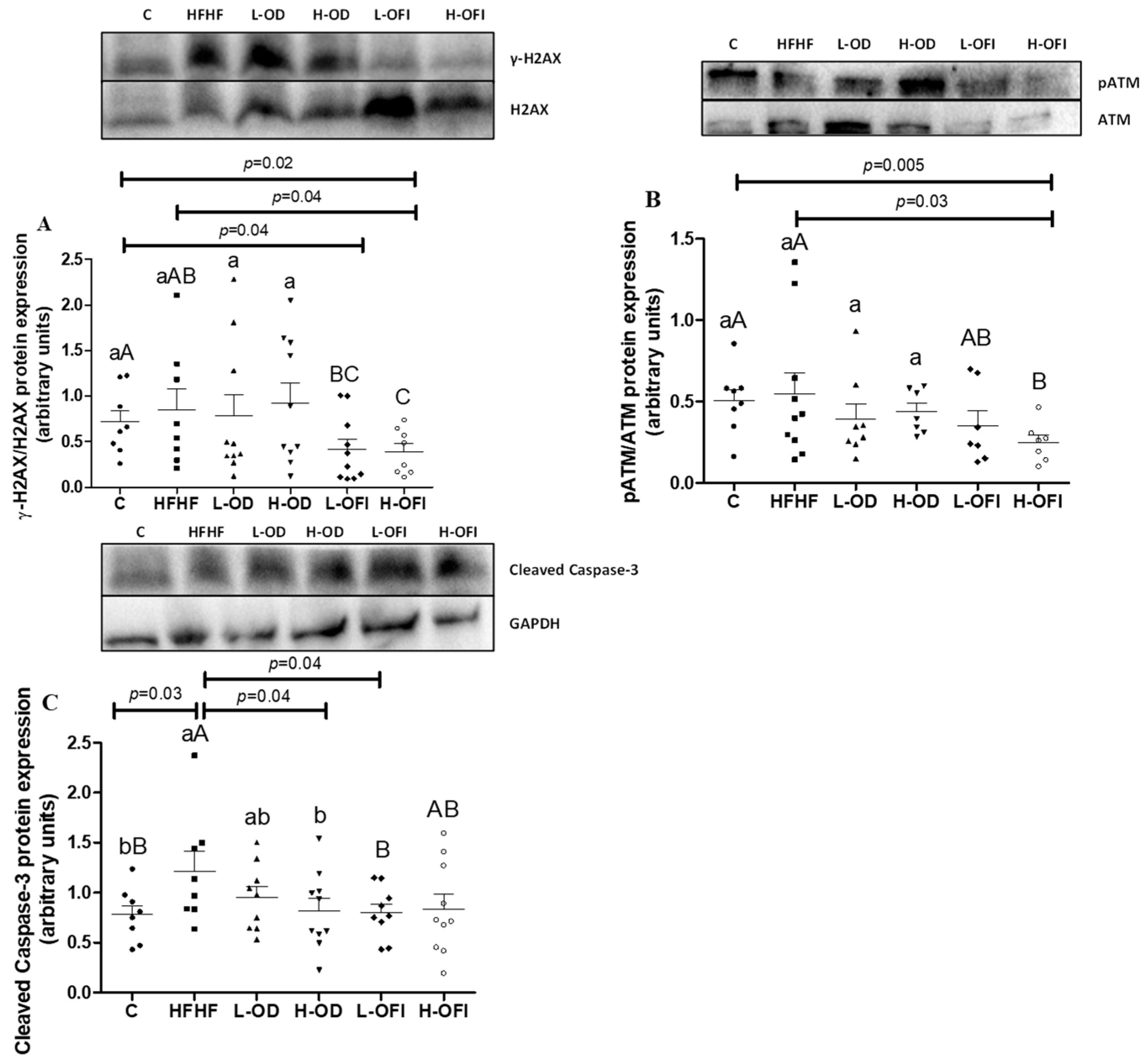 Antioxidants 13 01416 g003