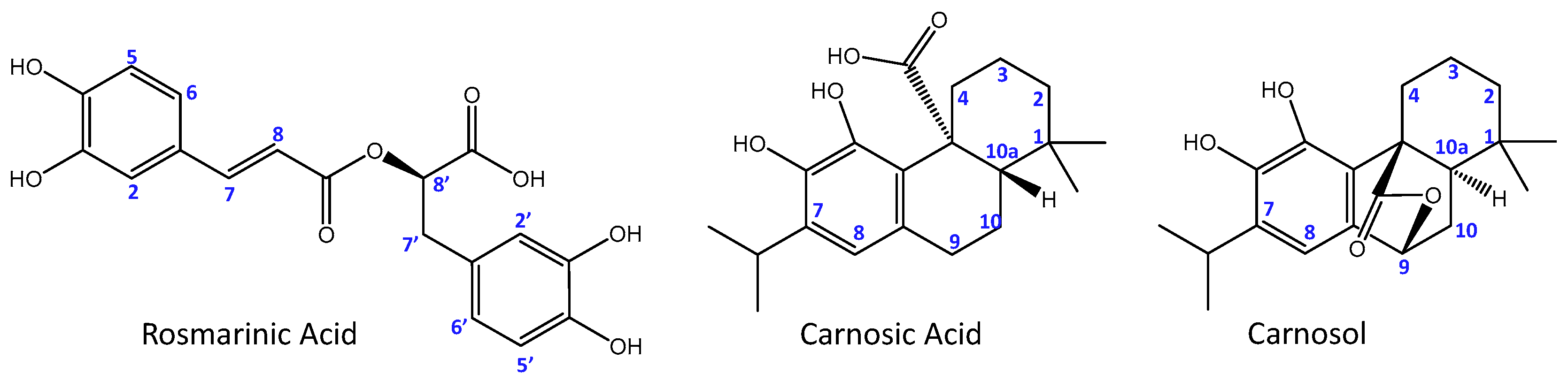 Antioxidants 13 01419 g001