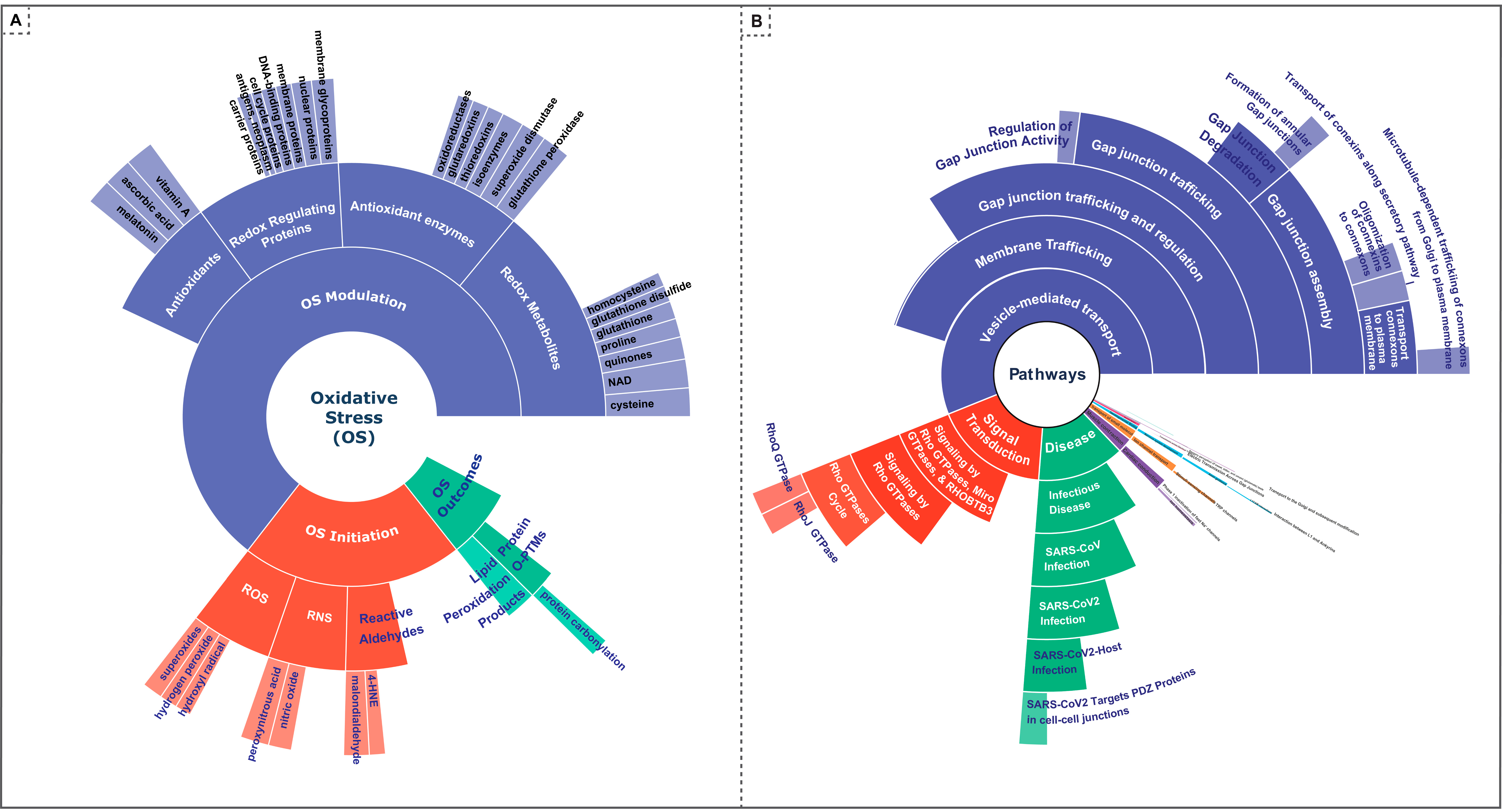 Antioxidants 13 01420 g006