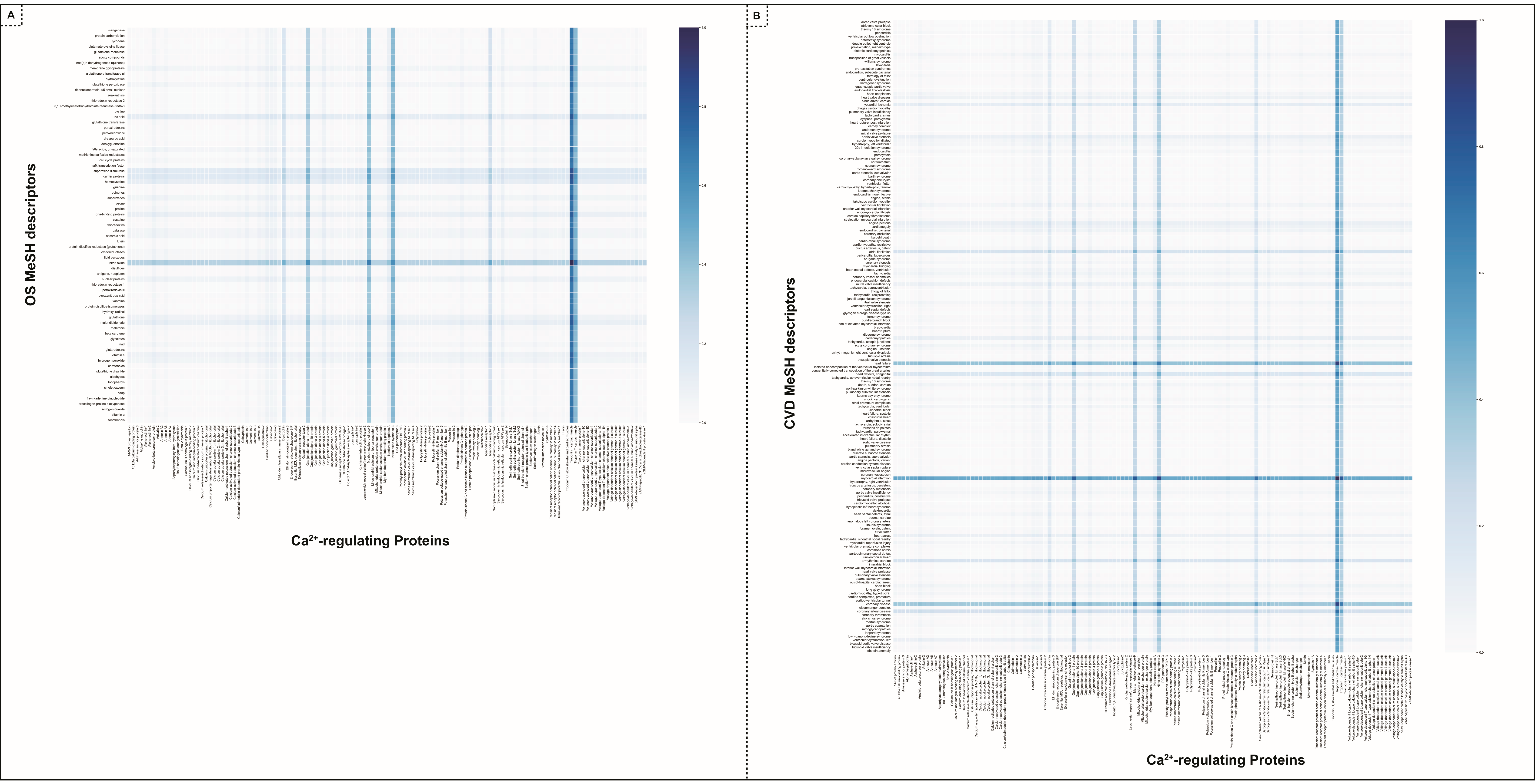 Antioxidants 13 01420 g007