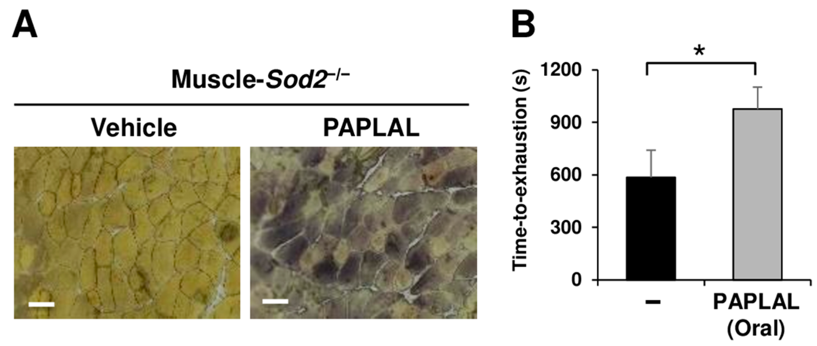 Antioxidants 13 01421 g004