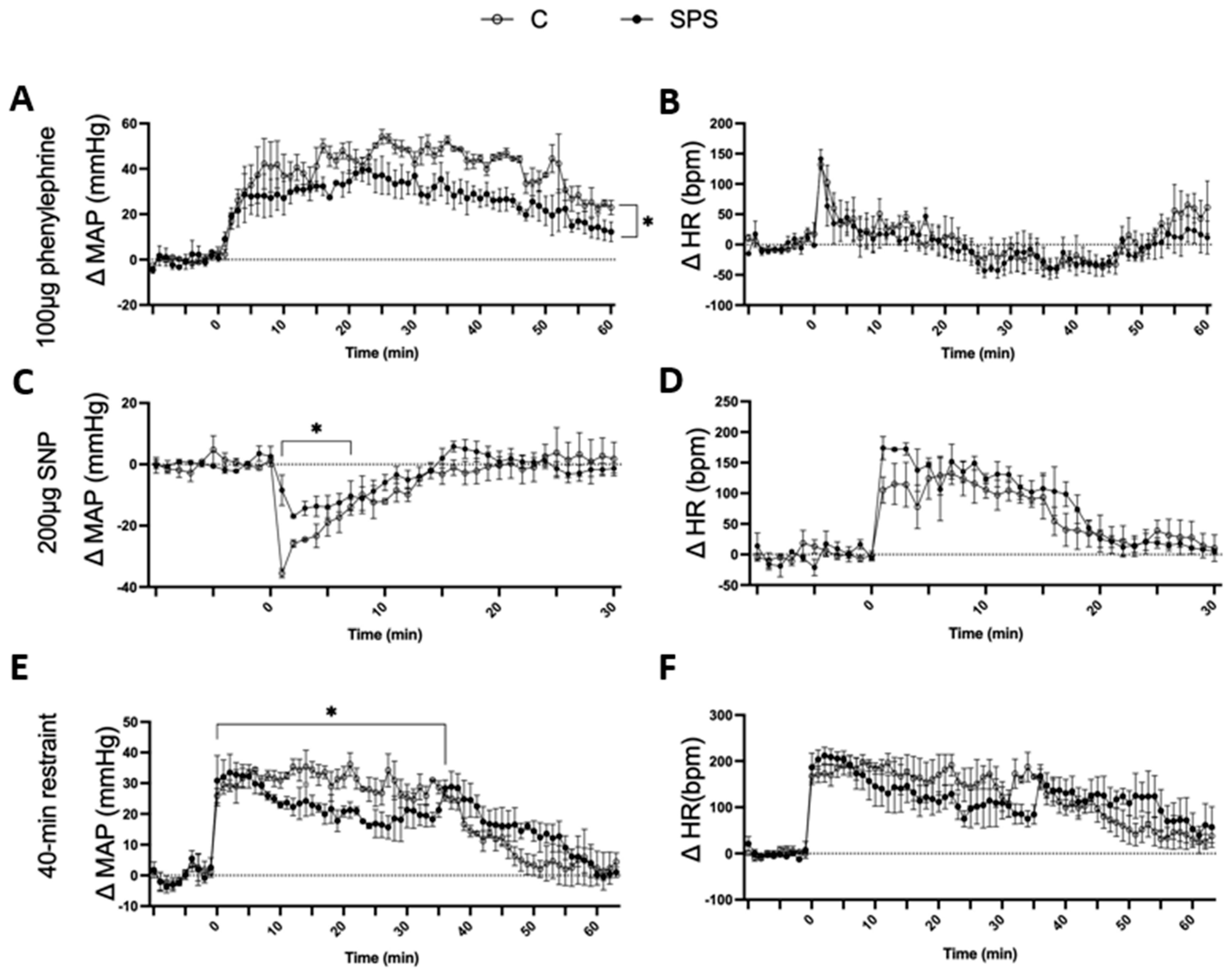 Antioxidants 13 01423 g005