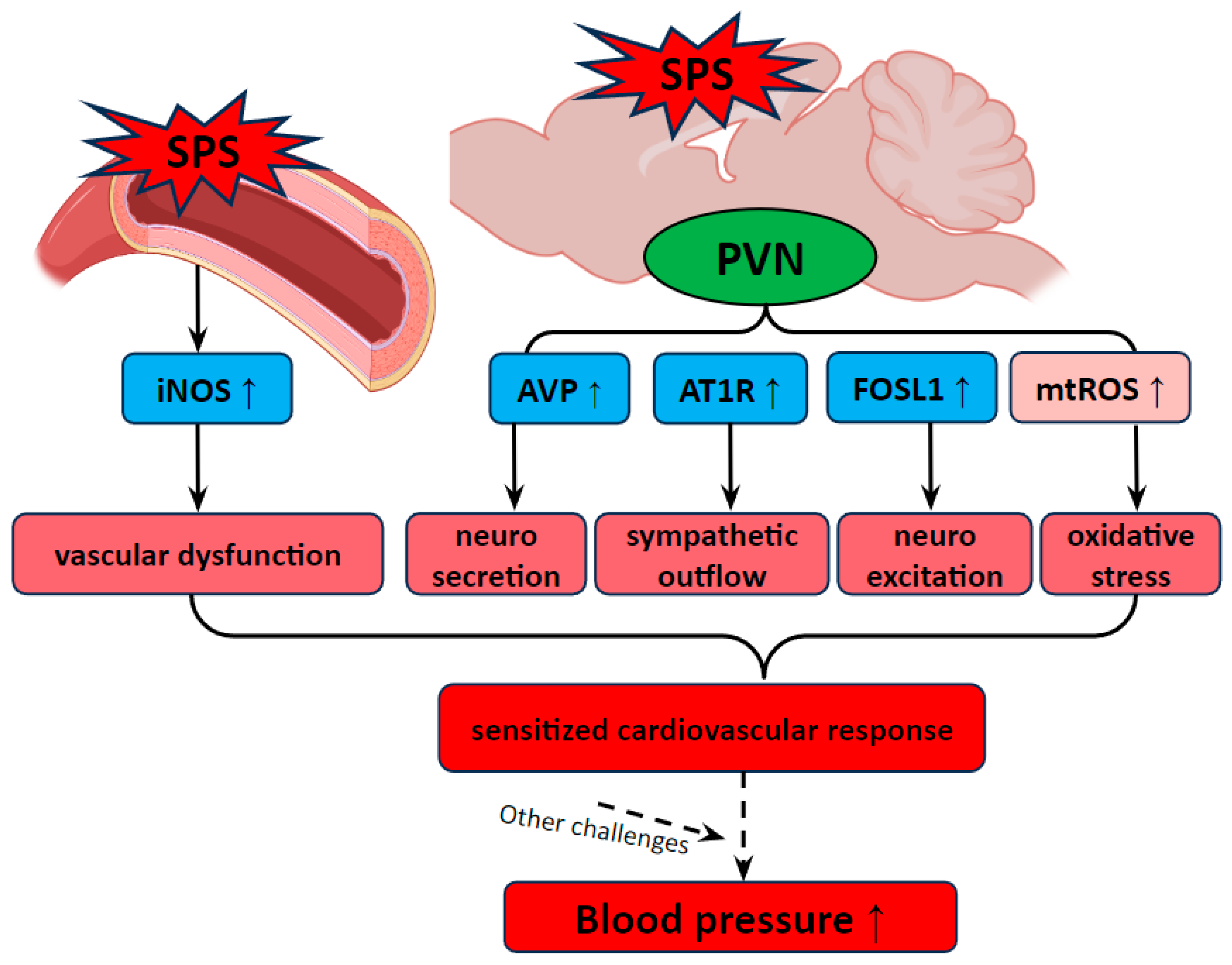 Antioxidants 13 01423 g006