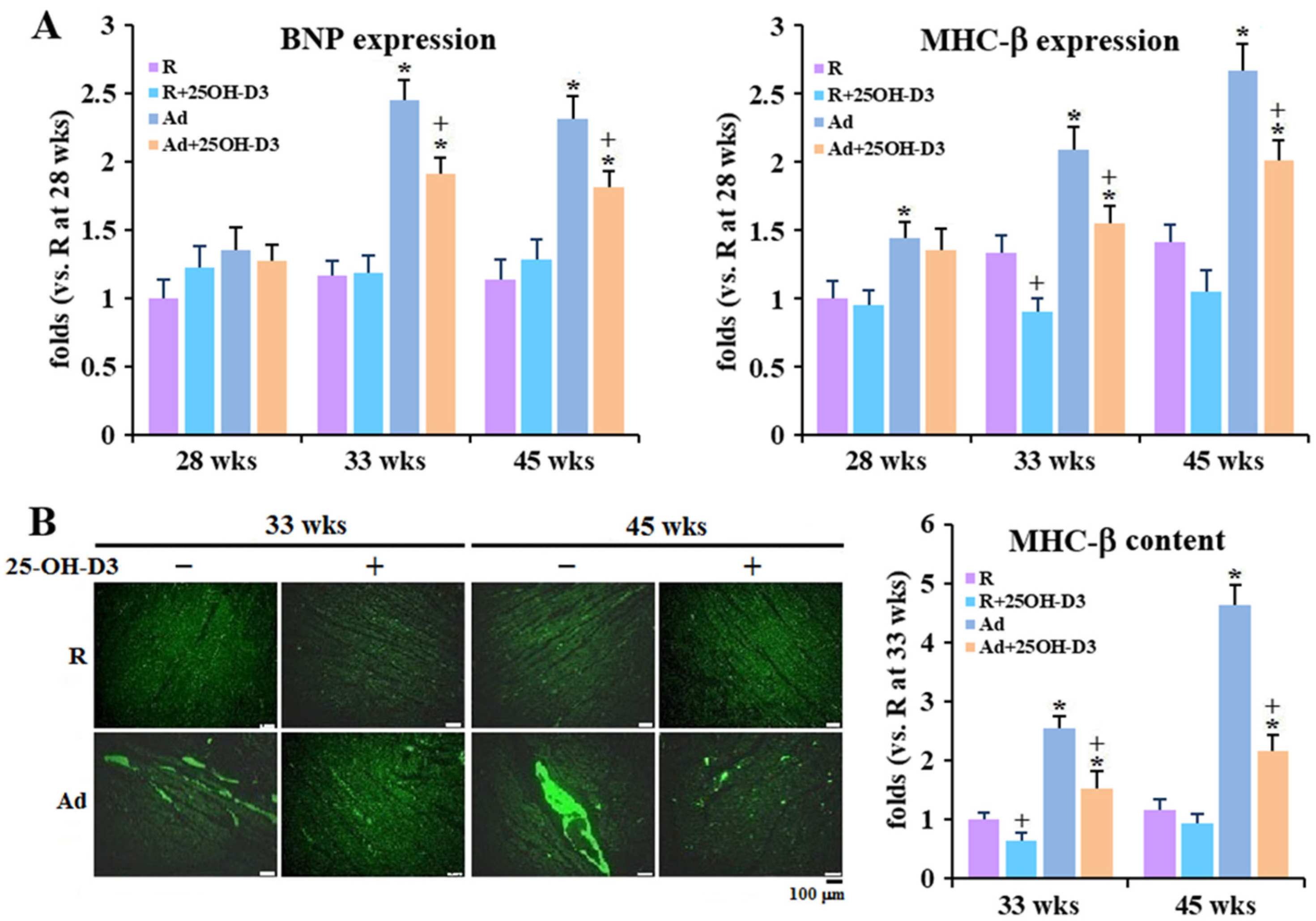Antioxidants 13 01426 g002