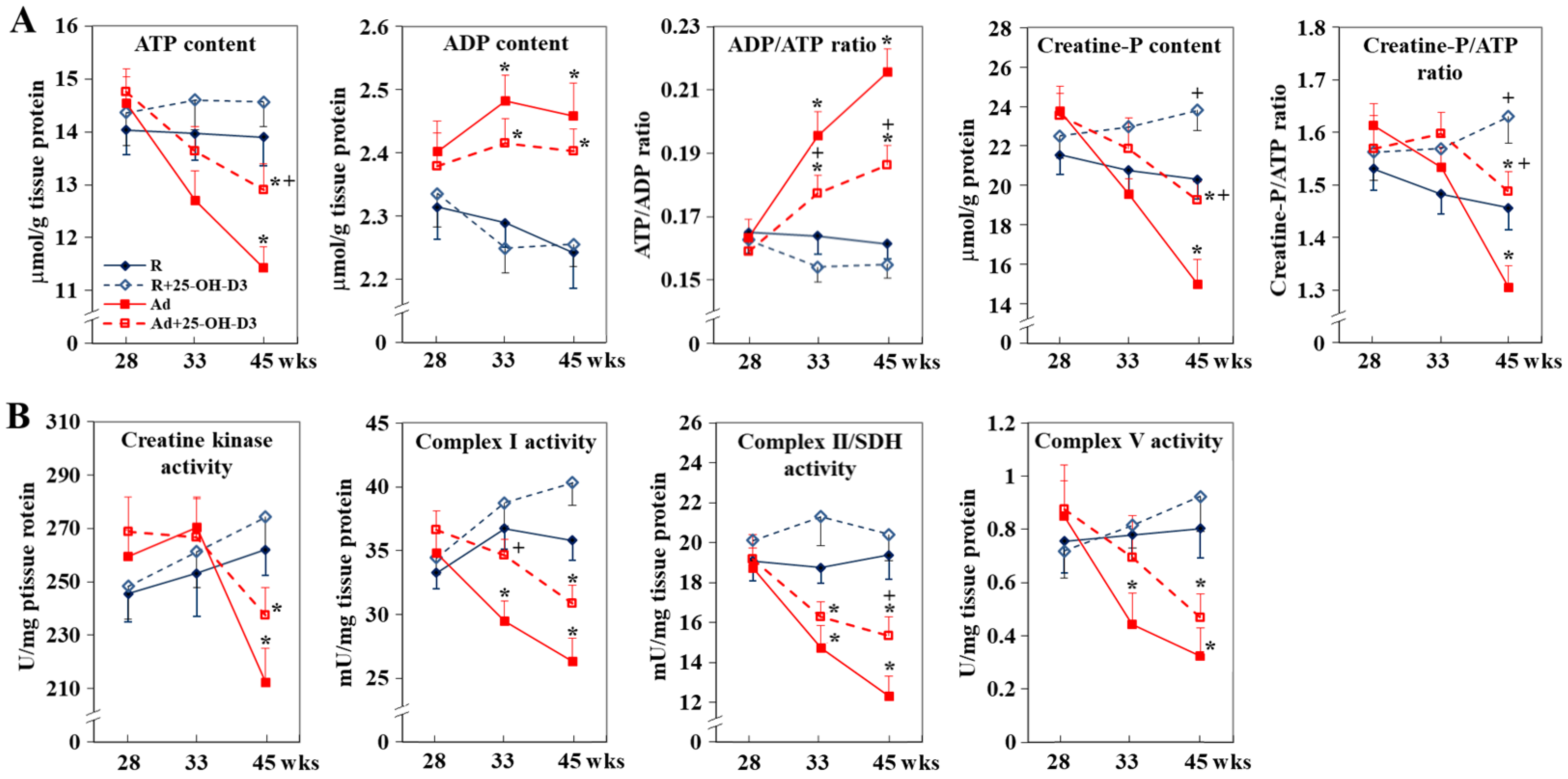 Antioxidants 13 01426 g003