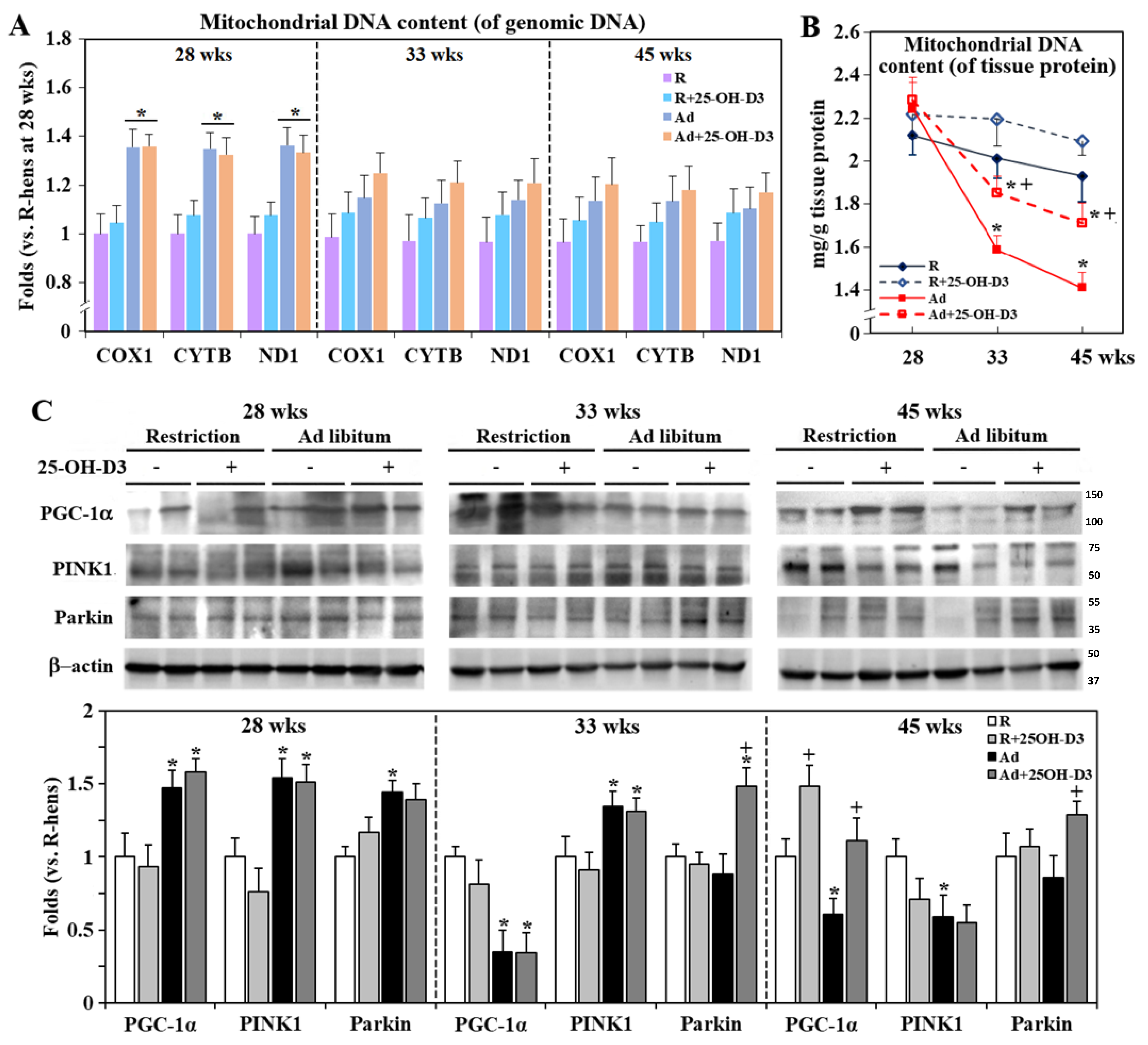 Antioxidants 13 01426 g004