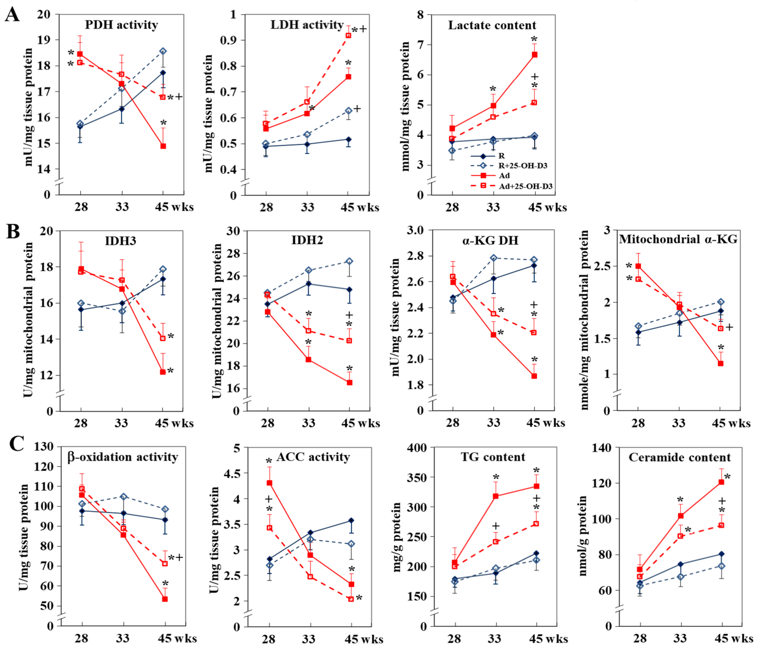 Antioxidants 13 01426 g005
