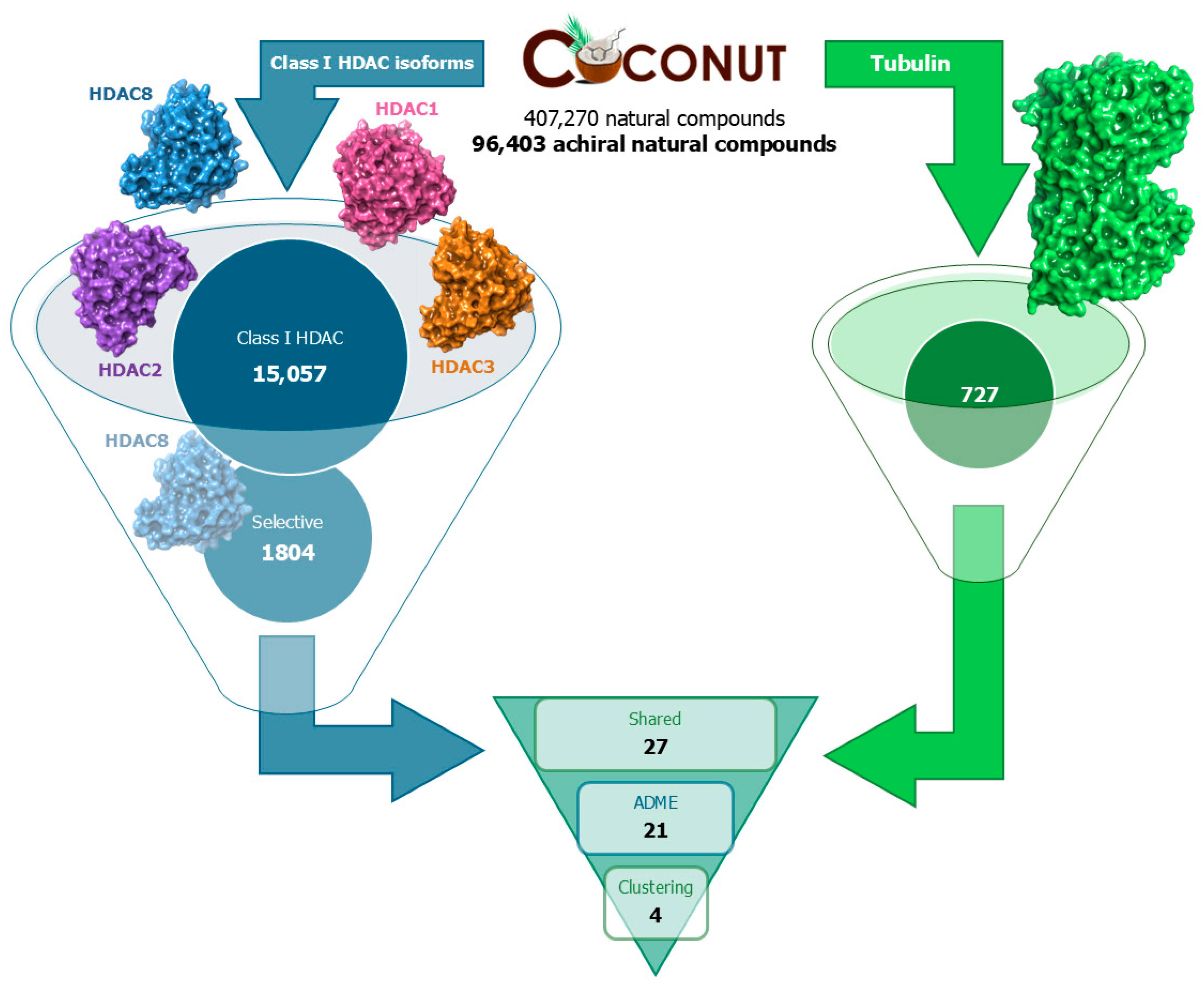 Antioxidants 13 01427 g001