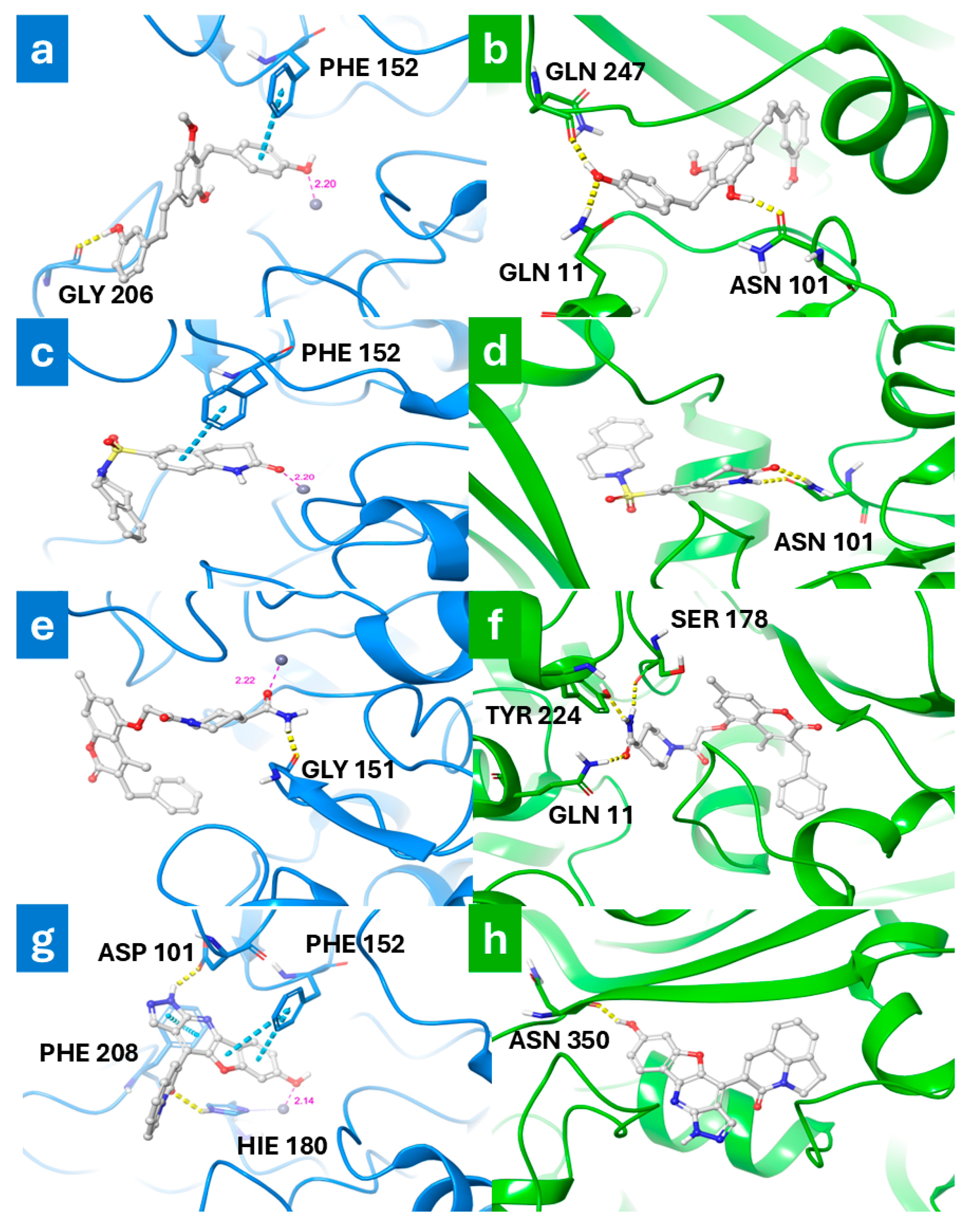 Antioxidants 13 01427 g003