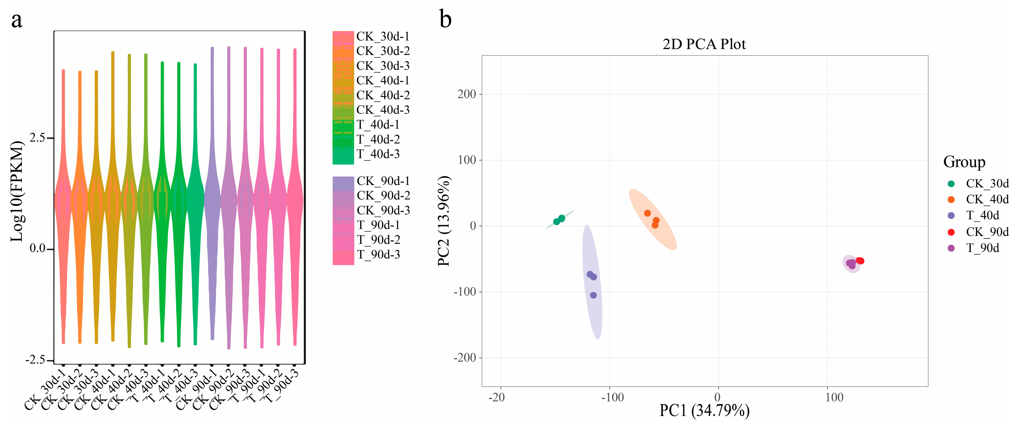 Antioxidants 13 01429 g006