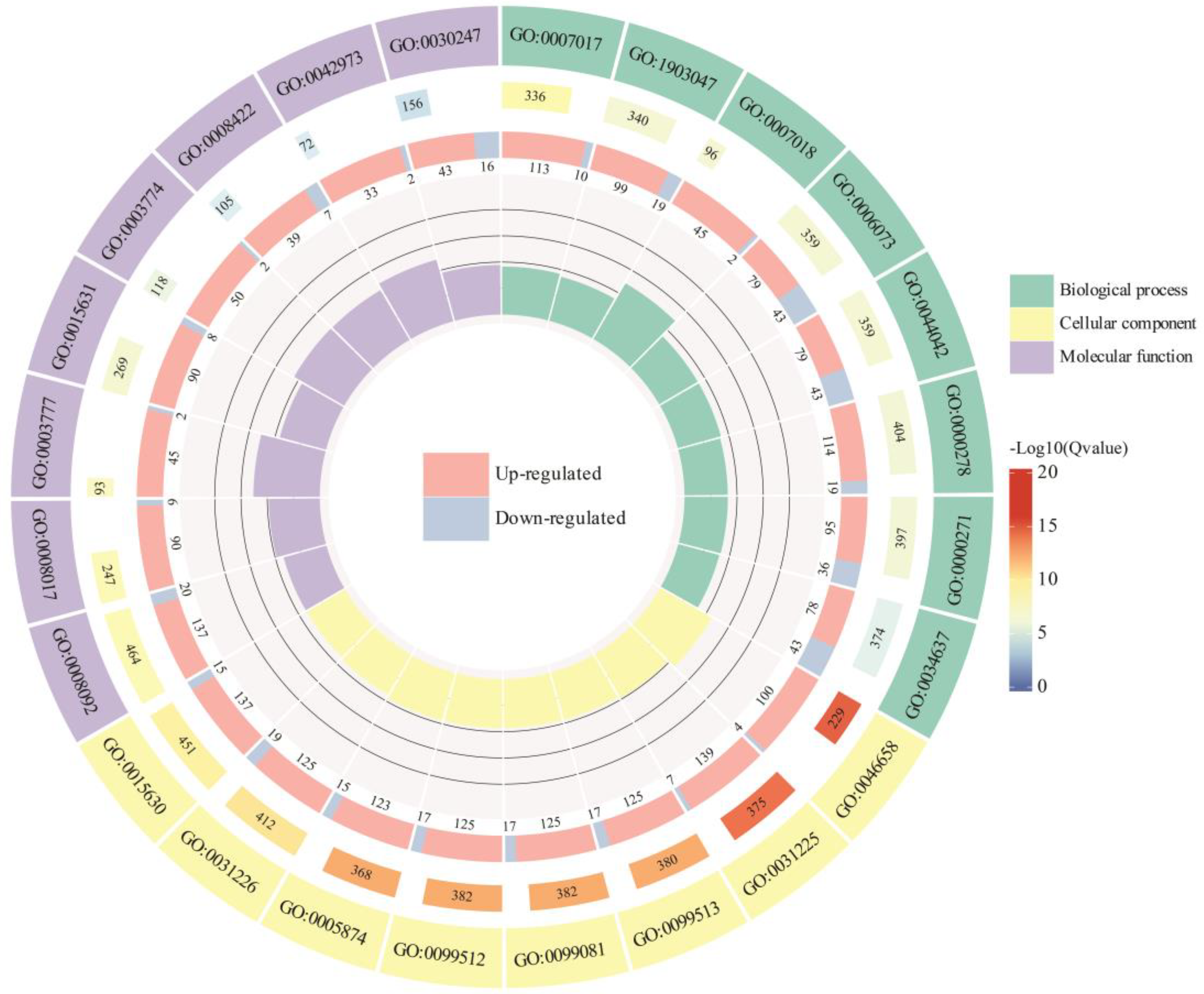 Antioxidants 13 01429 g008