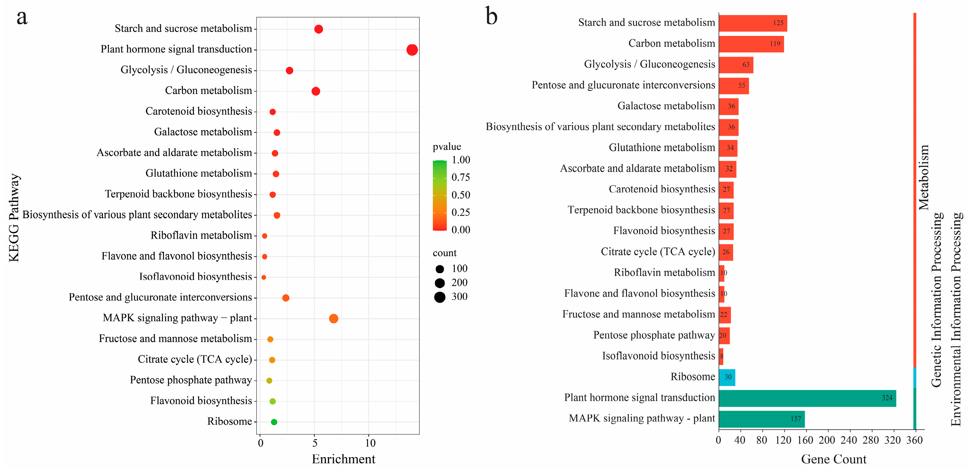 Antioxidants 13 01429 g009