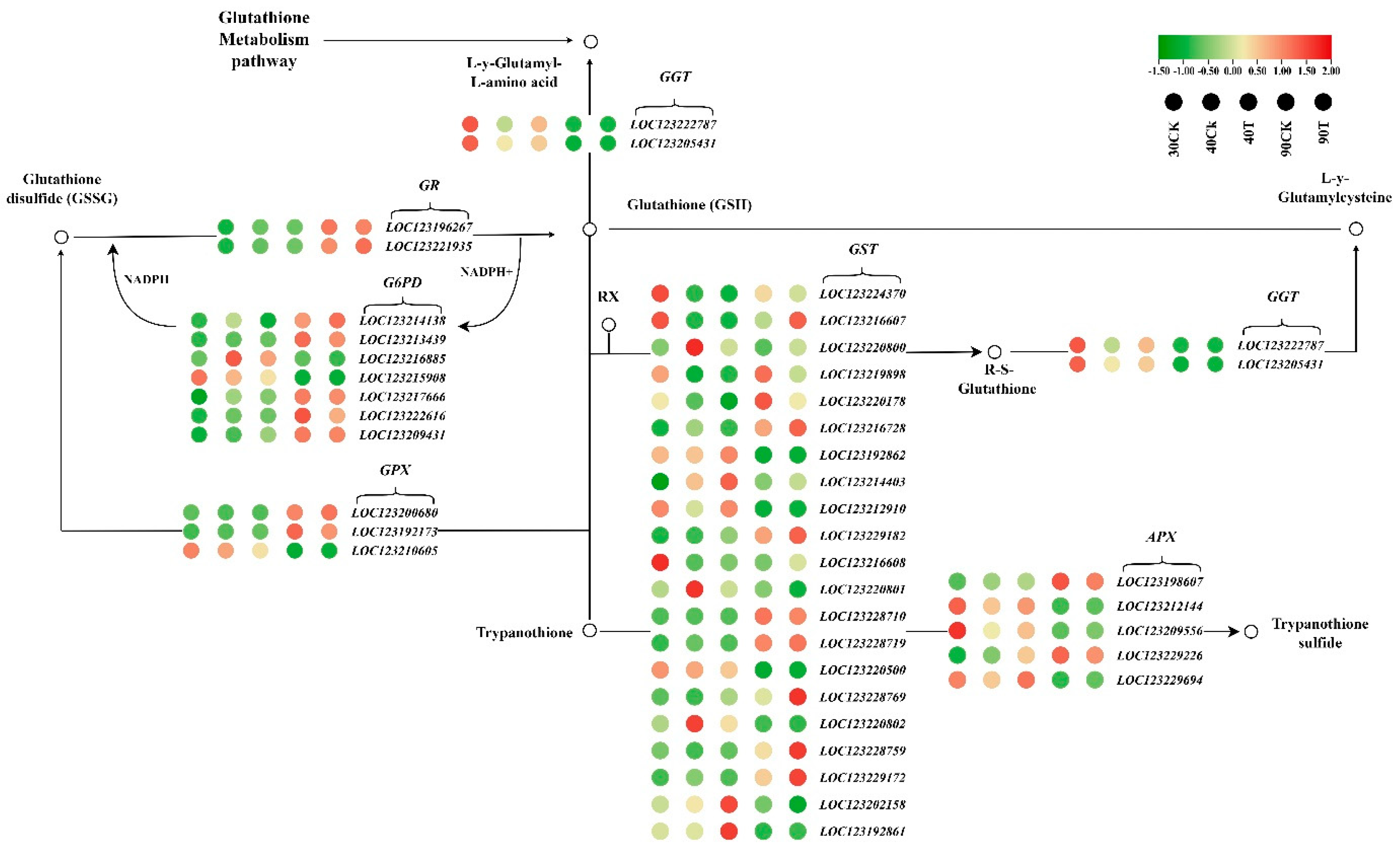 Antioxidants 13 01429 g010