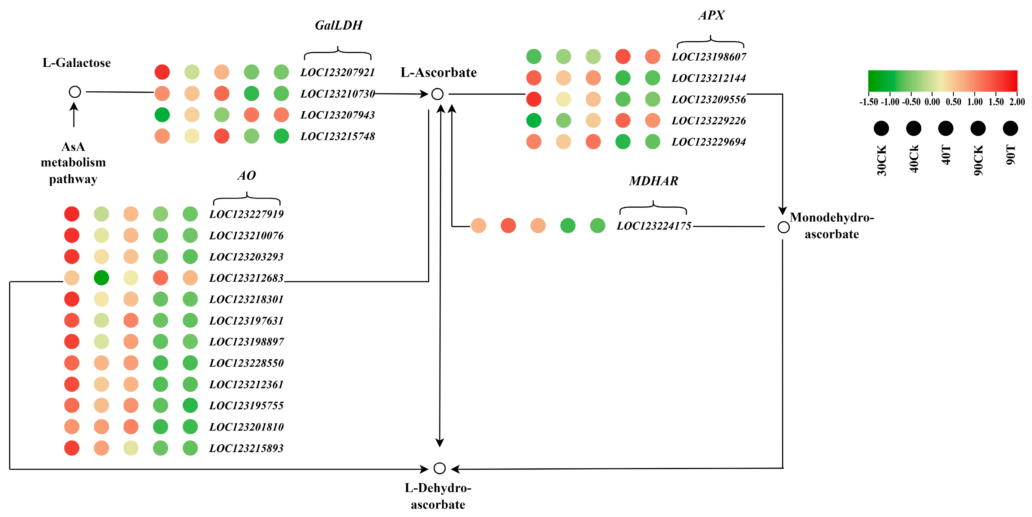 Antioxidants 13 01429 g011