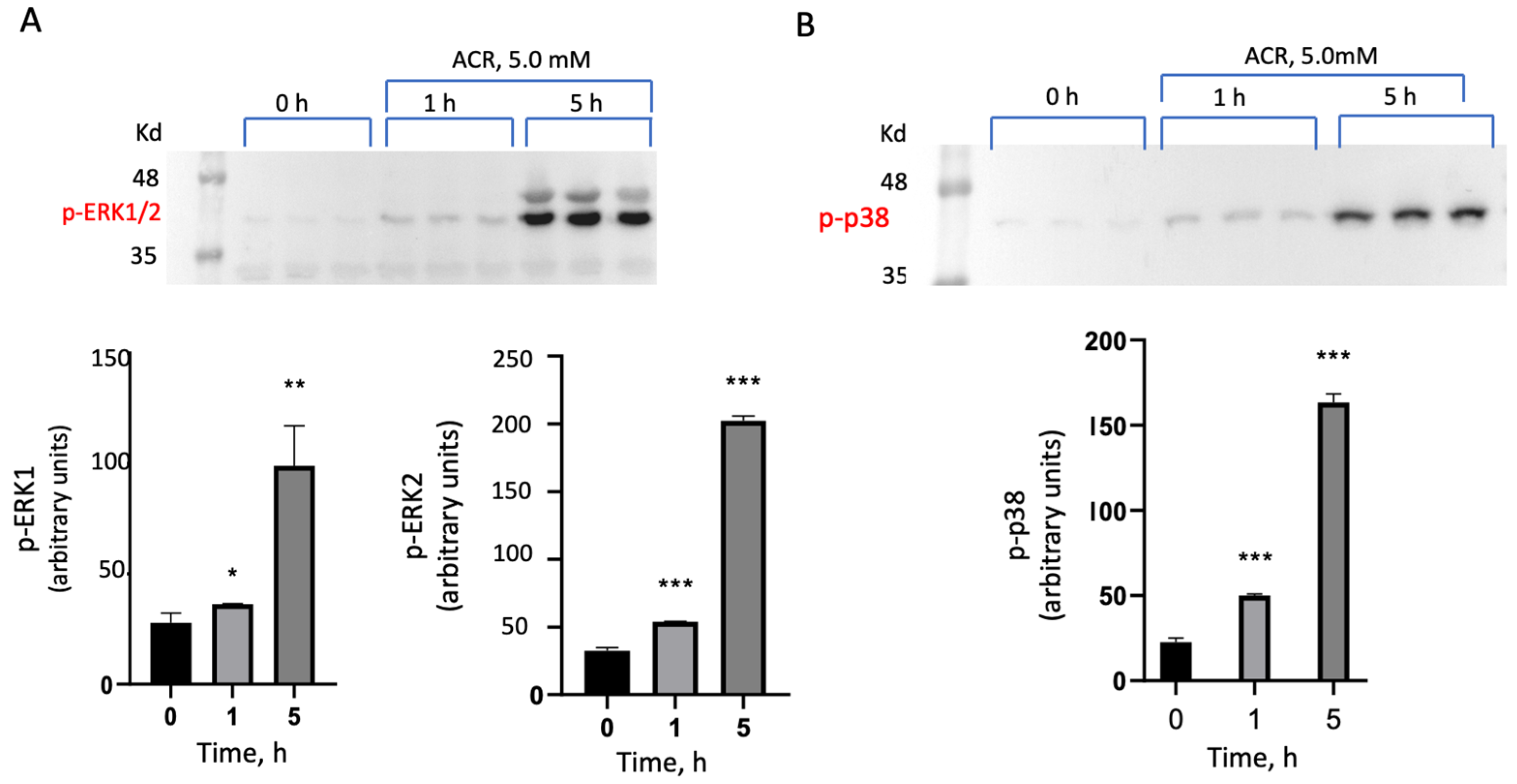 Antioxidants 13 01431 g001