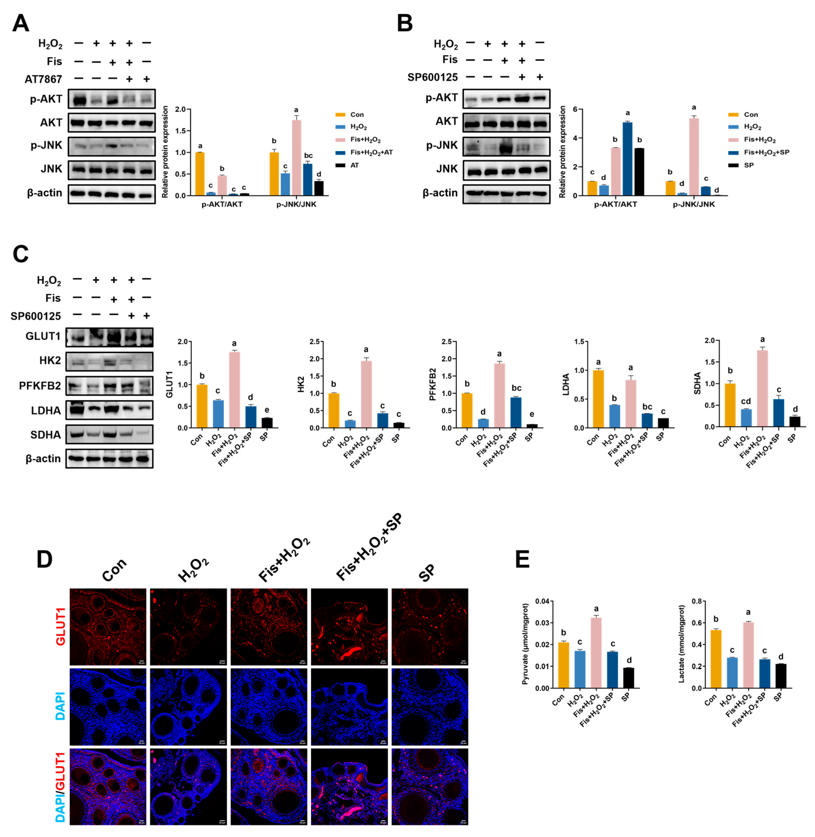 Antioxidants 13 01432 g008