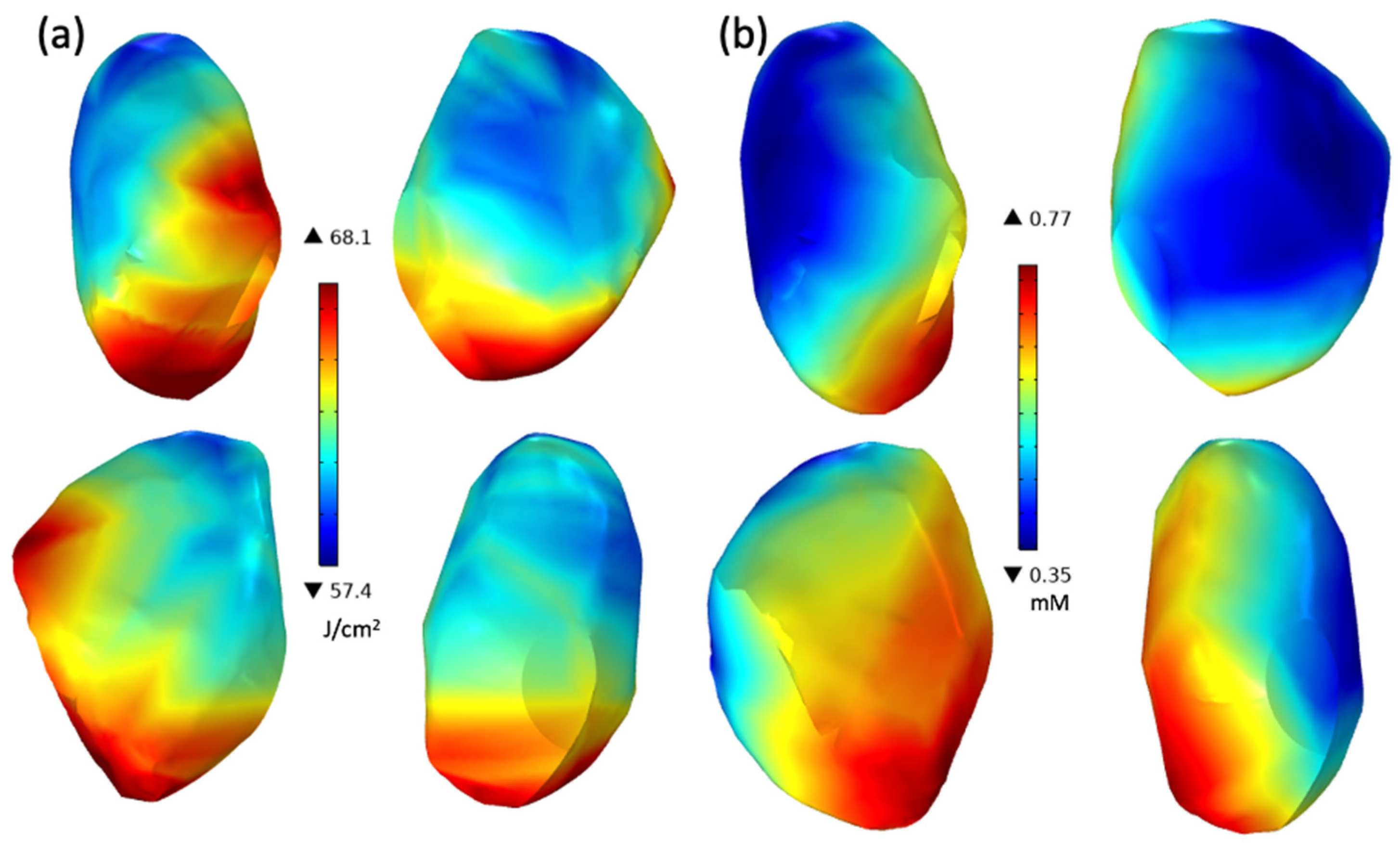 Antioxidants 13 01436 g005